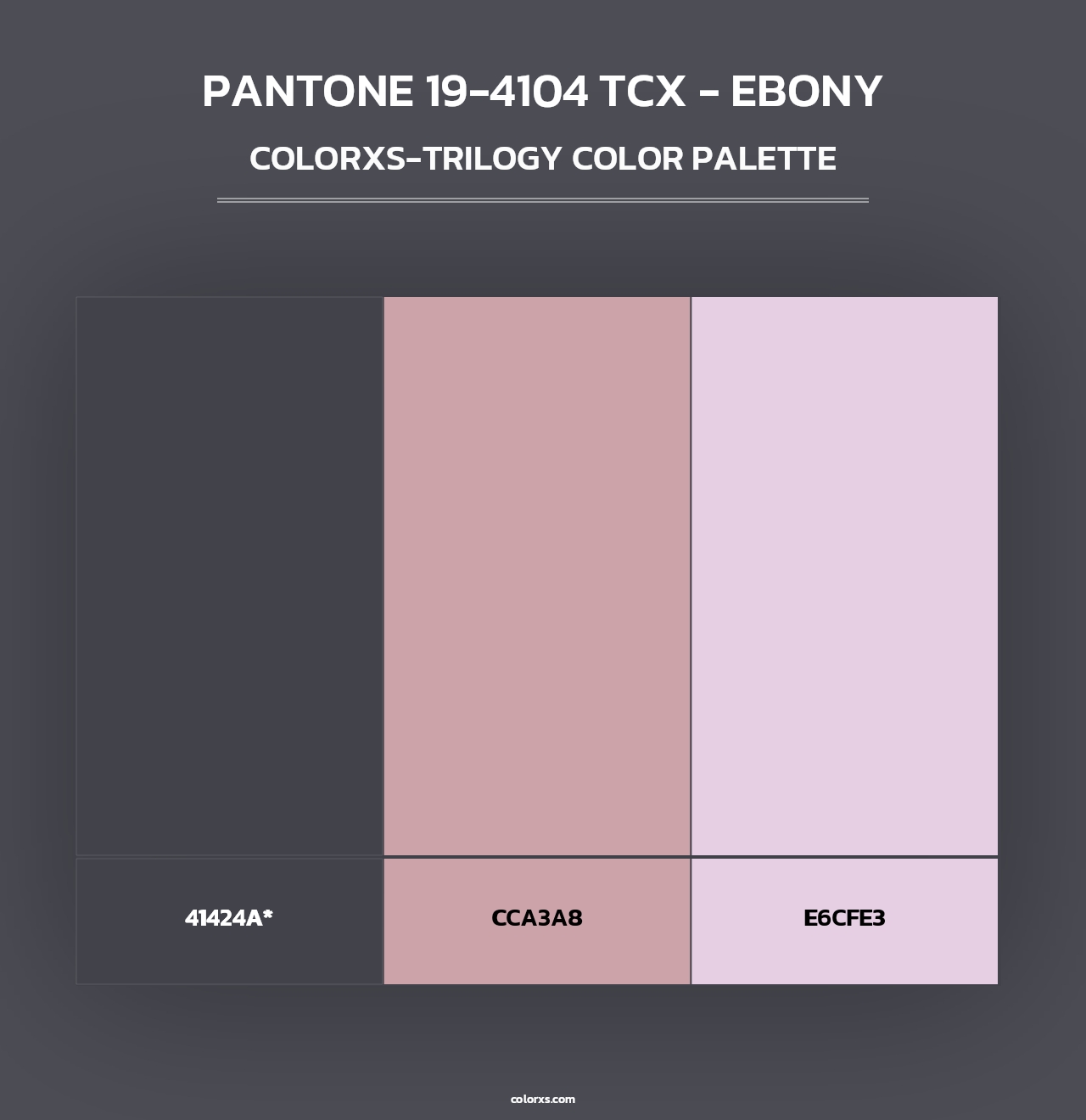 PANTONE 19-4104 TCX - Ebony - Colorxs Trilogy Palette