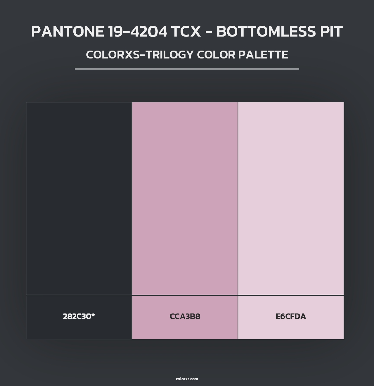 PANTONE 19-4204 TCX - Bottomless Pit - Colorxs Trilogy Palette