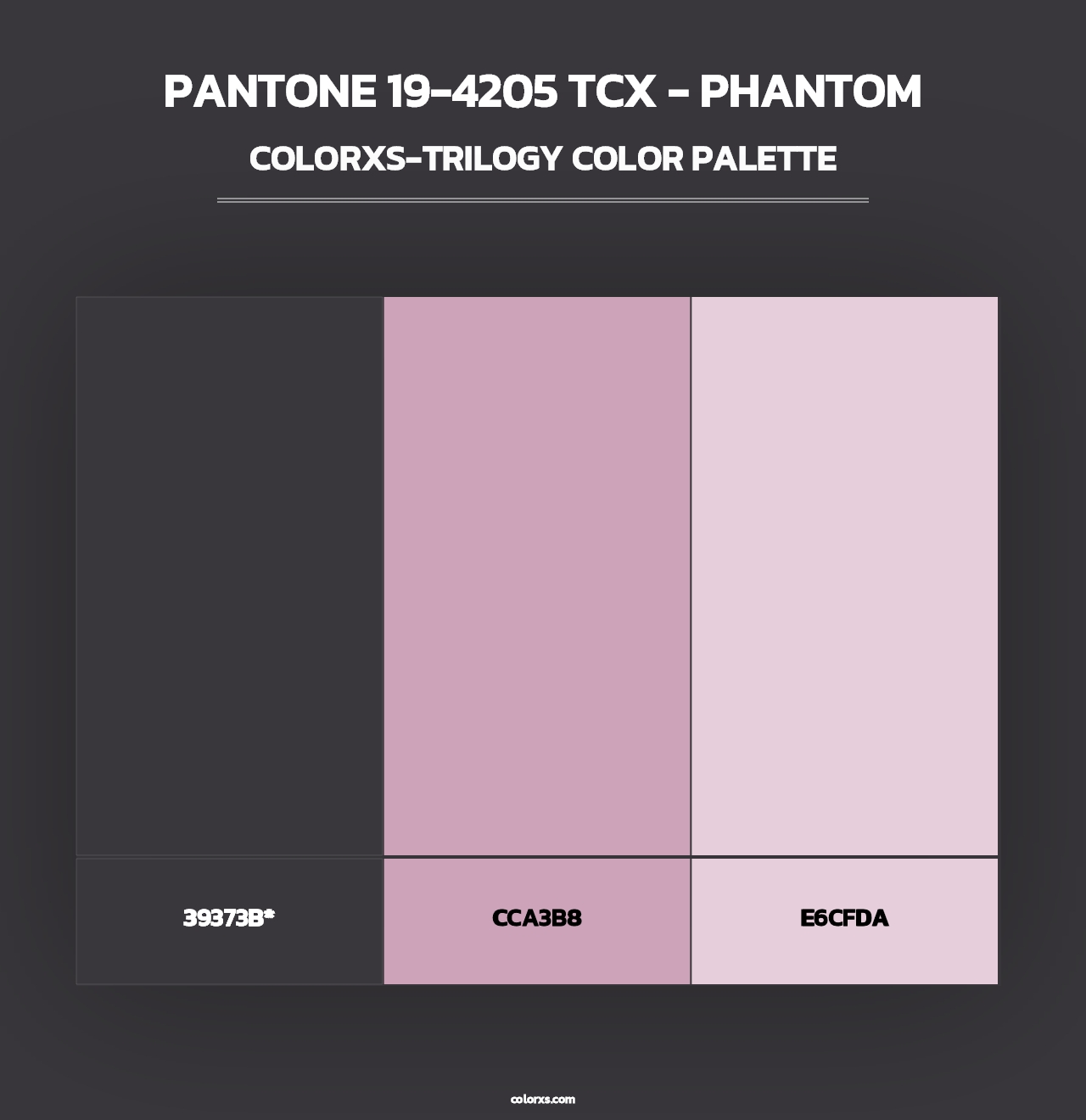 PANTONE 19-4205 TCX - Phantom - Colorxs Trilogy Palette
