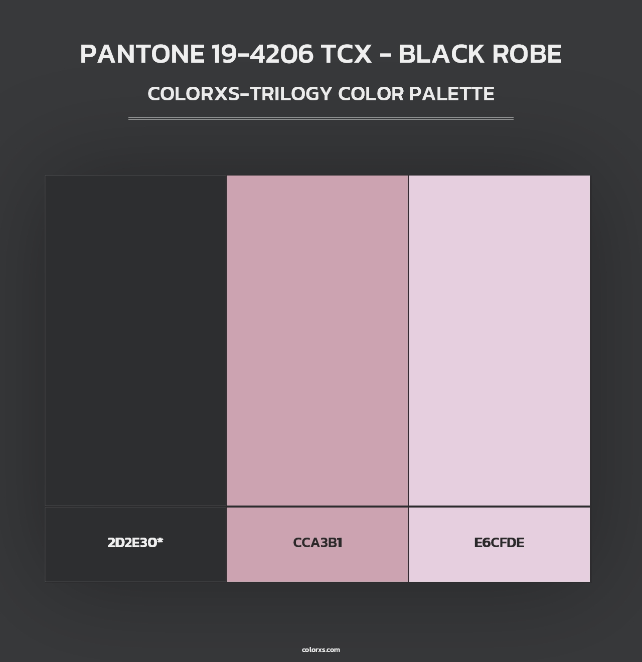 PANTONE 19-4206 TCX - Black Robe - Colorxs Trilogy Palette