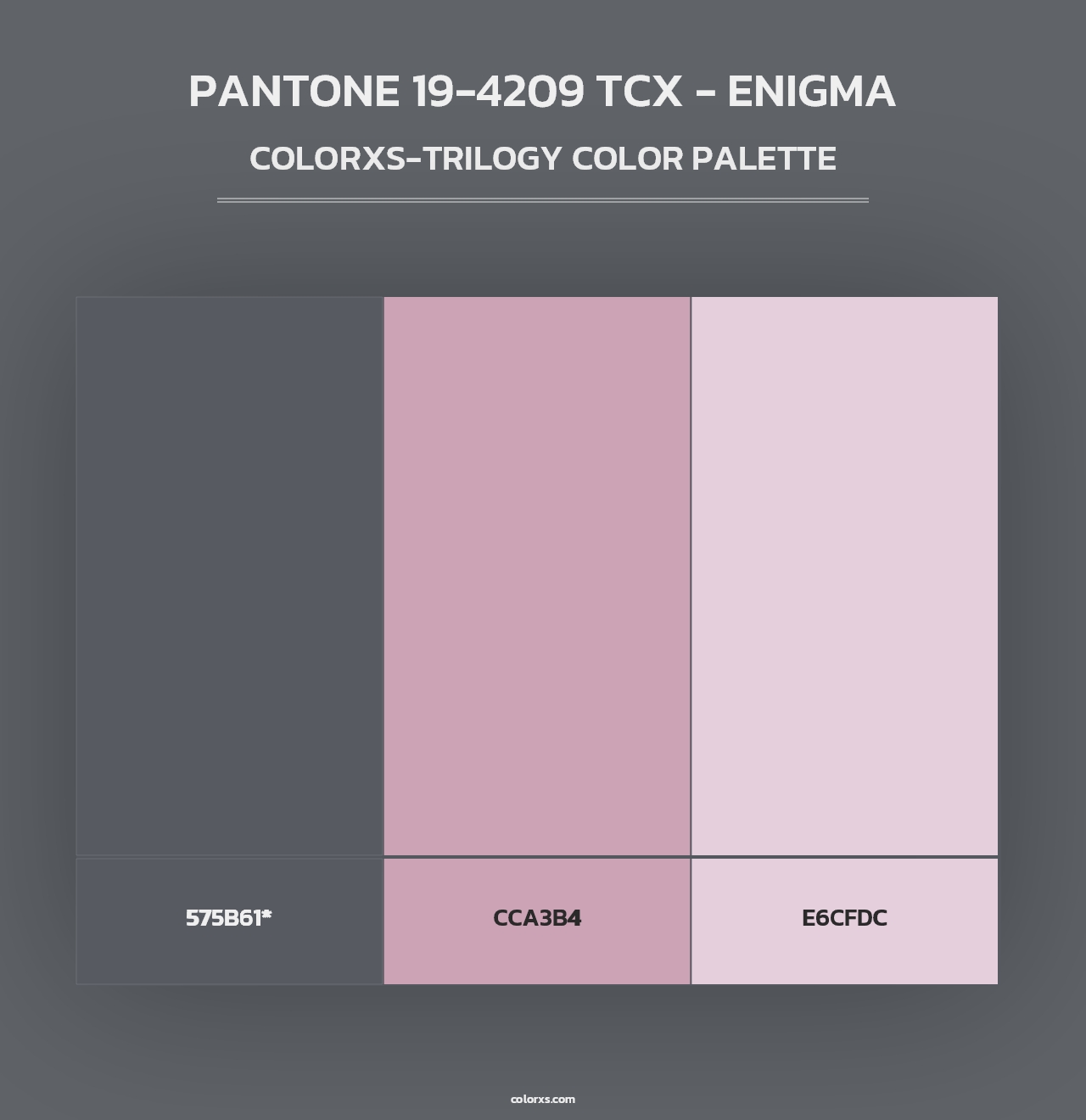 PANTONE 19-4209 TCX - Enigma - Colorxs Trilogy Palette