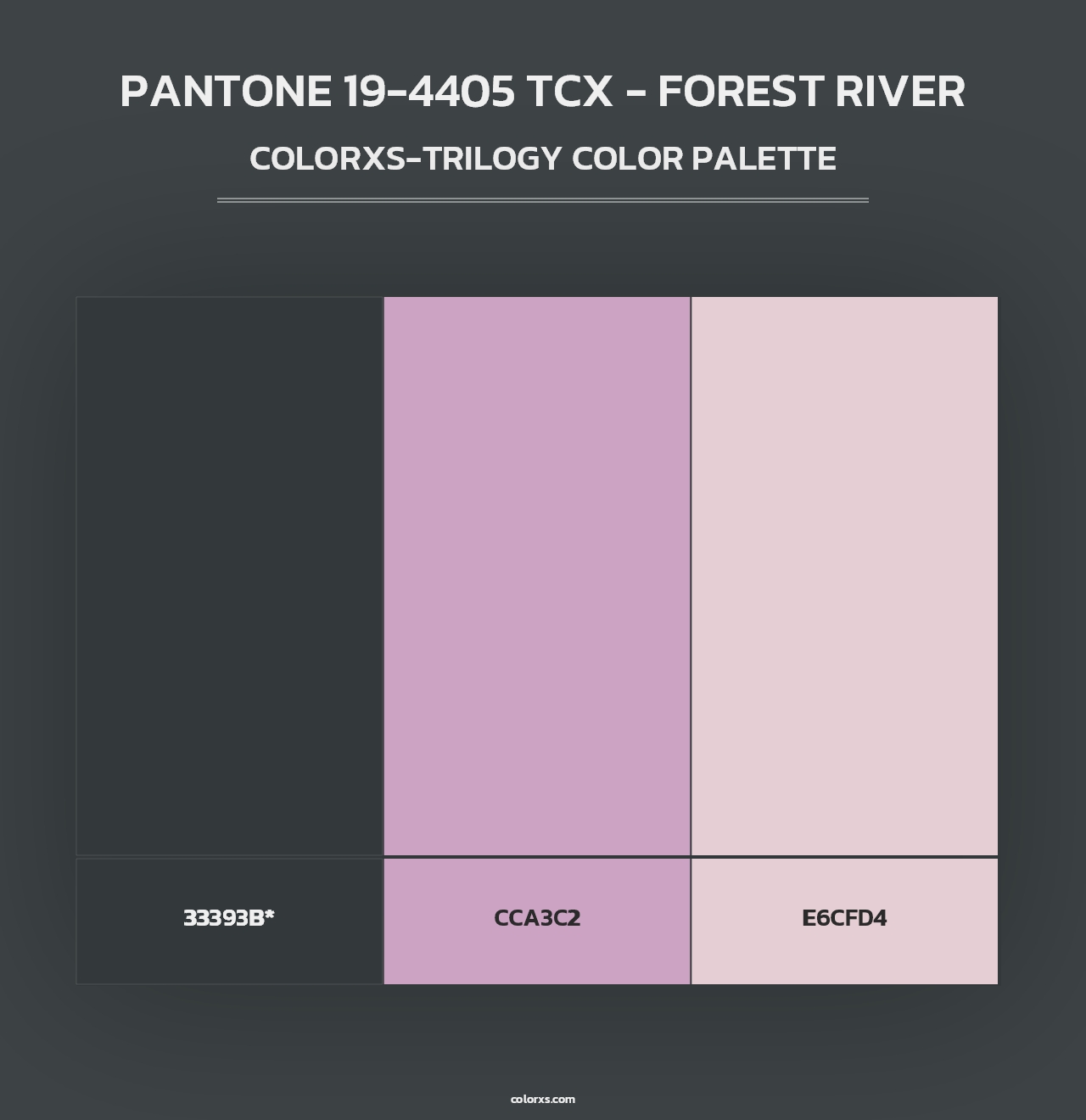 PANTONE 19-4405 TCX - Forest River - Colorxs Trilogy Palette