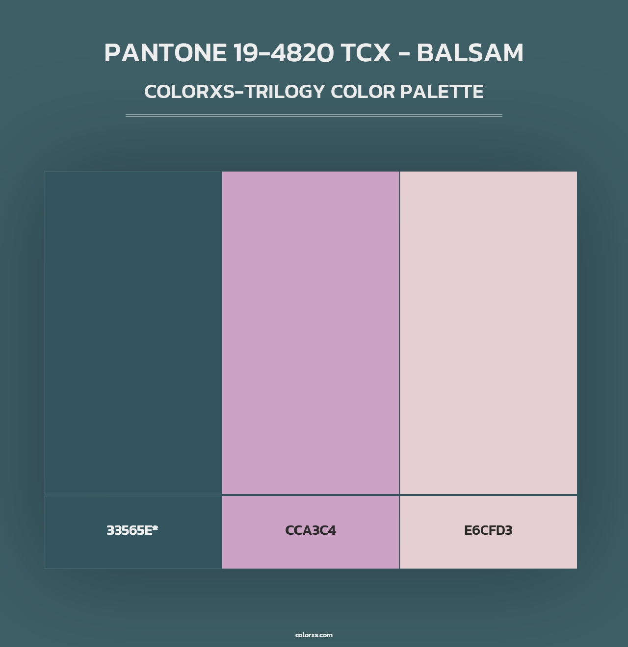 PANTONE 19-4820 TCX - Balsam - Colorxs Trilogy Palette