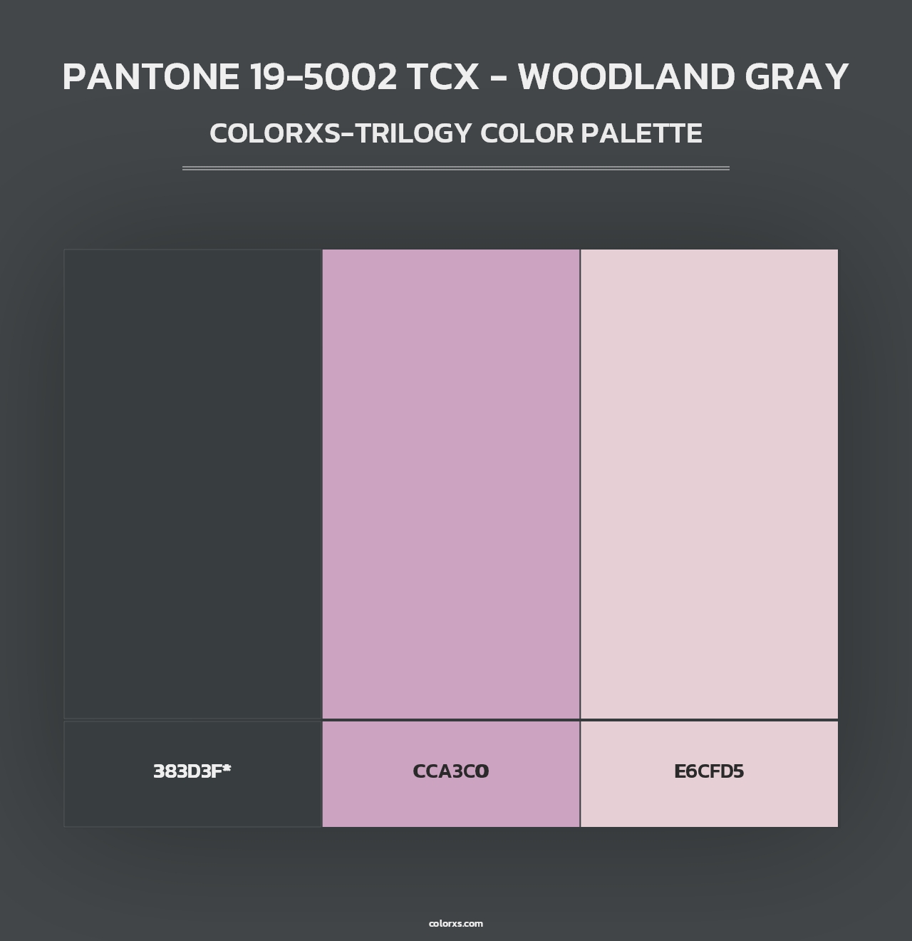 PANTONE 19-5002 TCX - Woodland Gray - Colorxs Trilogy Palette