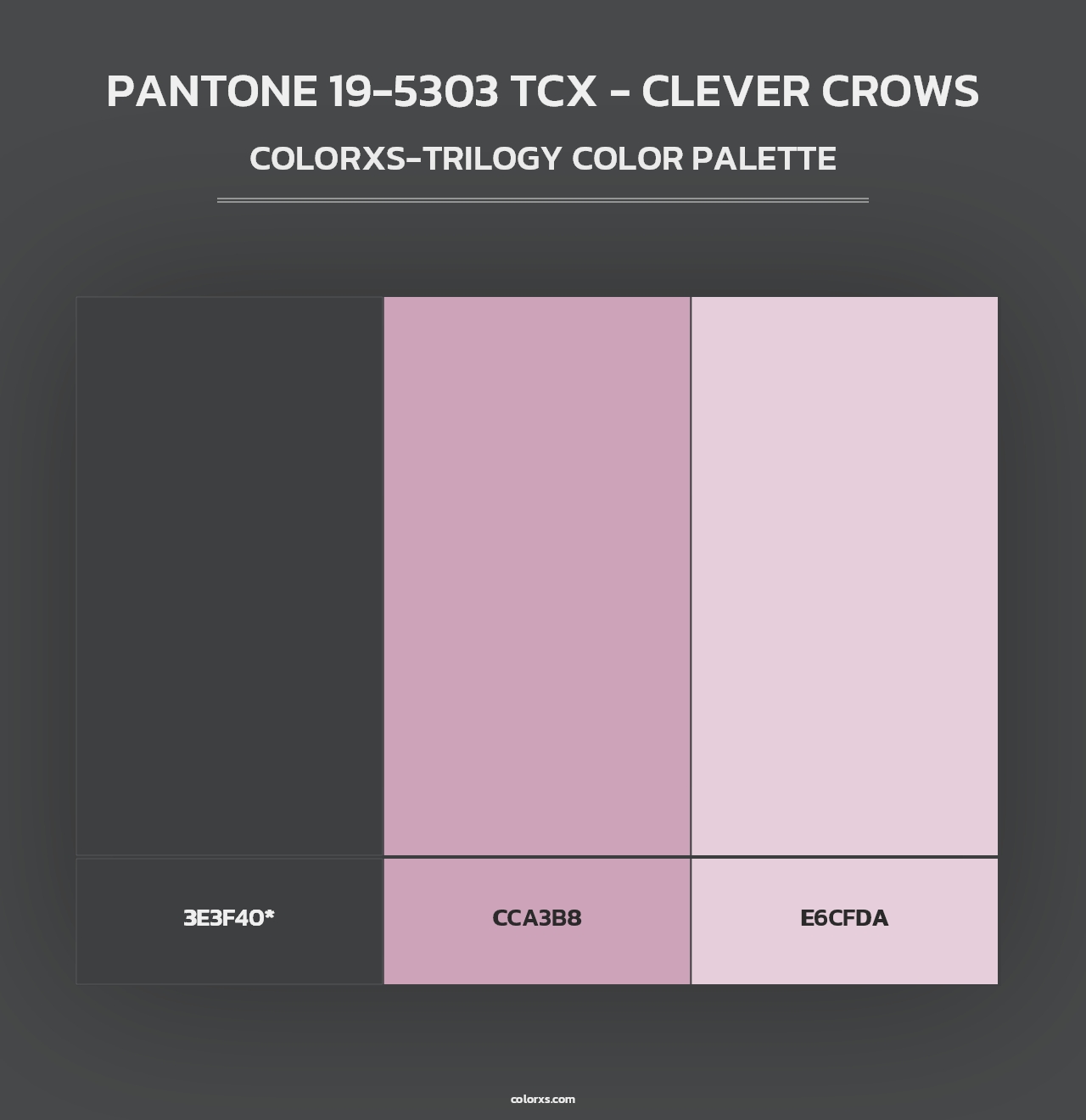 PANTONE 19-5303 TCX - Clever Crows - Colorxs Trilogy Palette