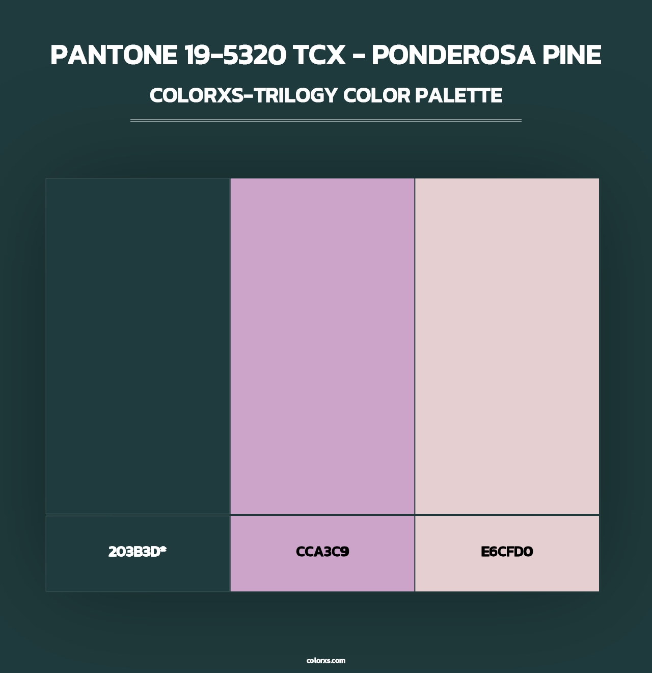 PANTONE 19-5320 TCX - Ponderosa Pine - Colorxs Trilogy Palette