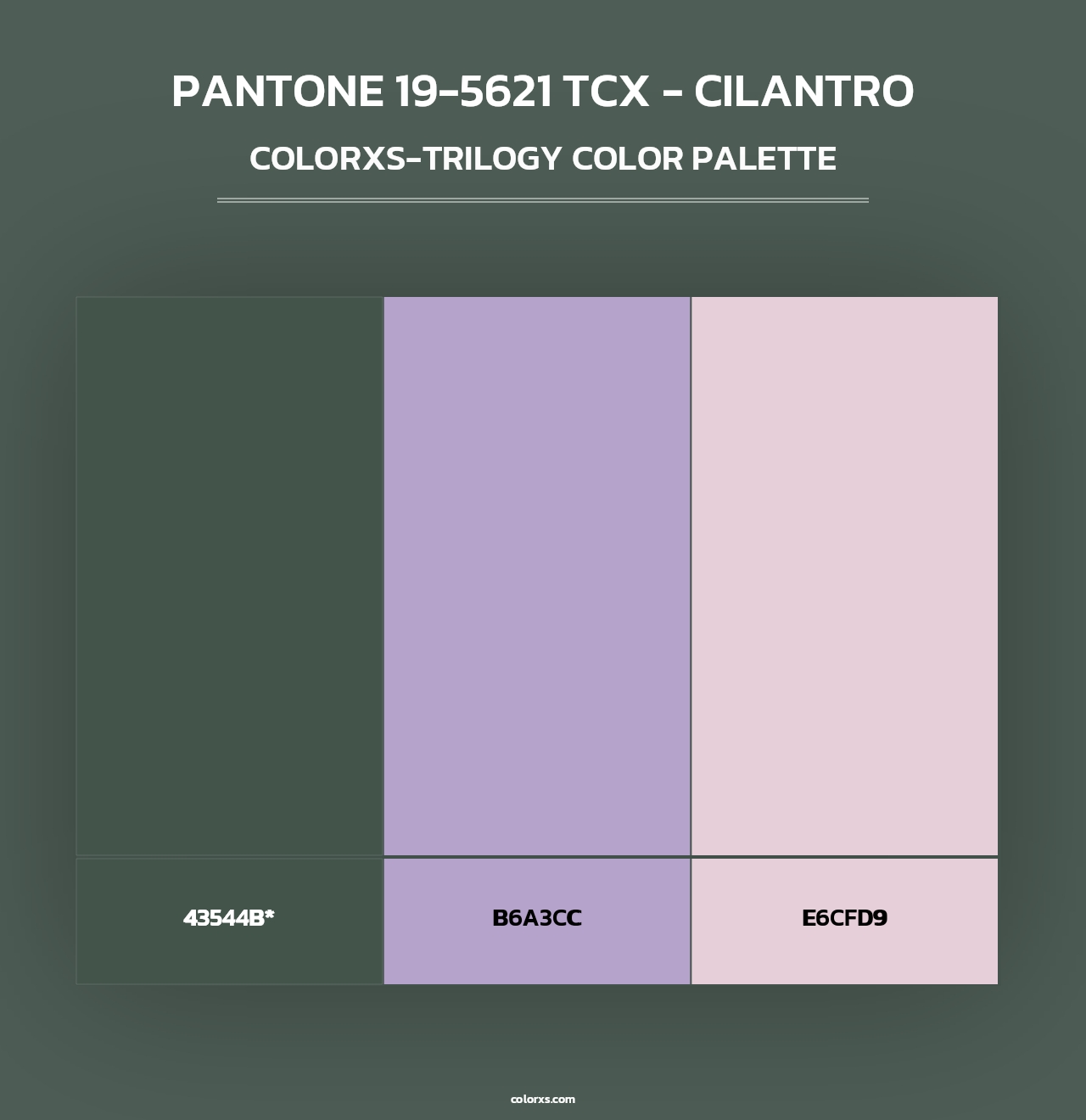 PANTONE 19-5621 TCX - Cilantro - Colorxs Trilogy Palette