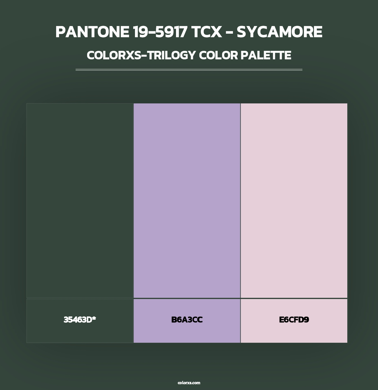 PANTONE 19-5917 TCX - Sycamore - Colorxs Trilogy Palette