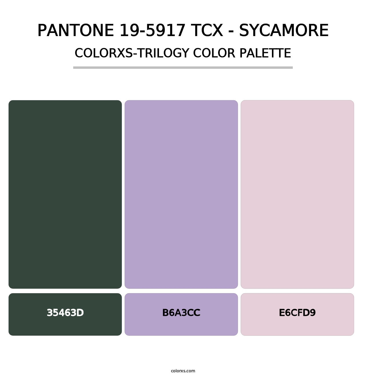 PANTONE 19-5917 TCX - Sycamore - Colorxs Trilogy Palette