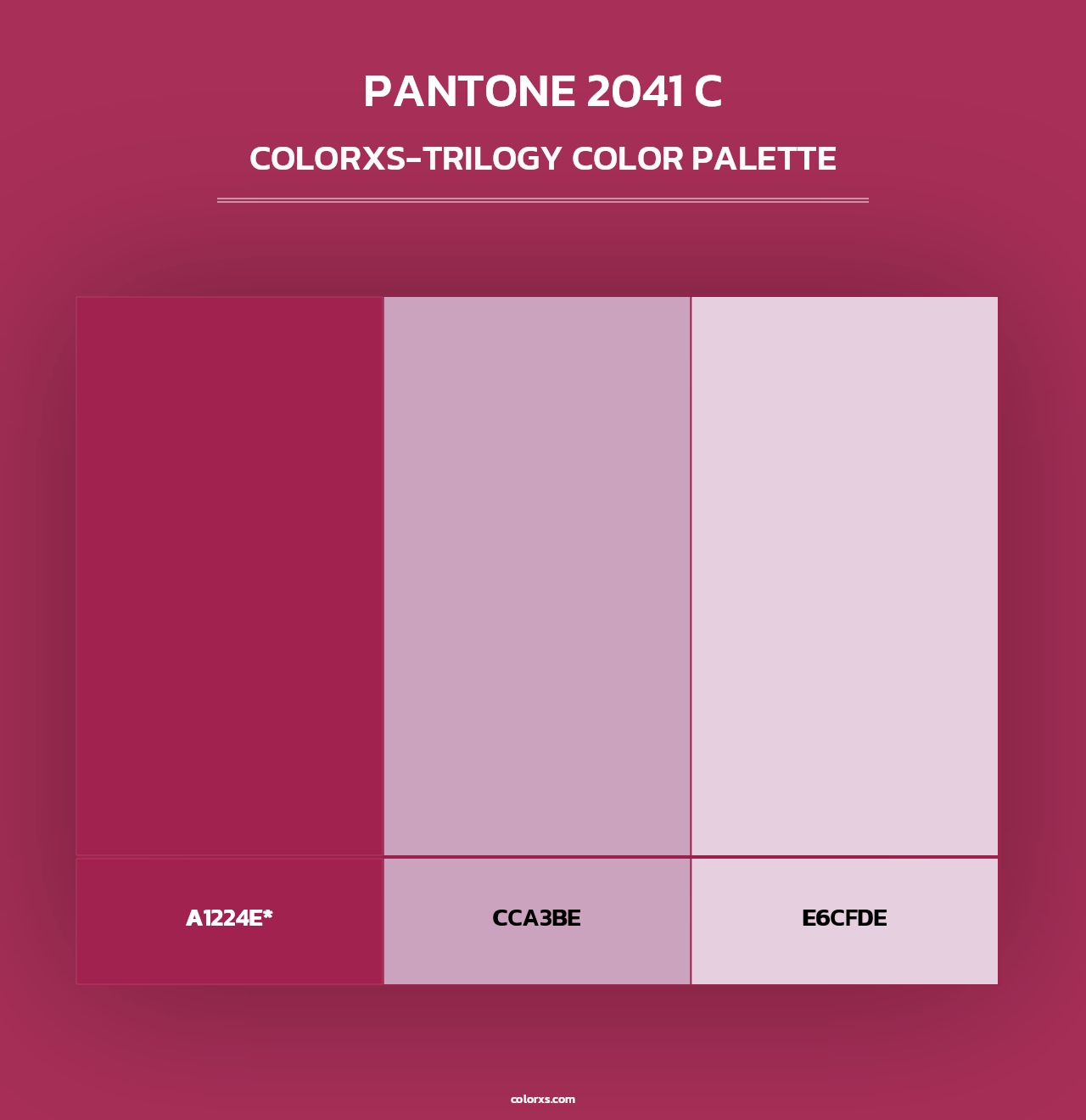 PANTONE 2041 C - Colorxs Trilogy Palette