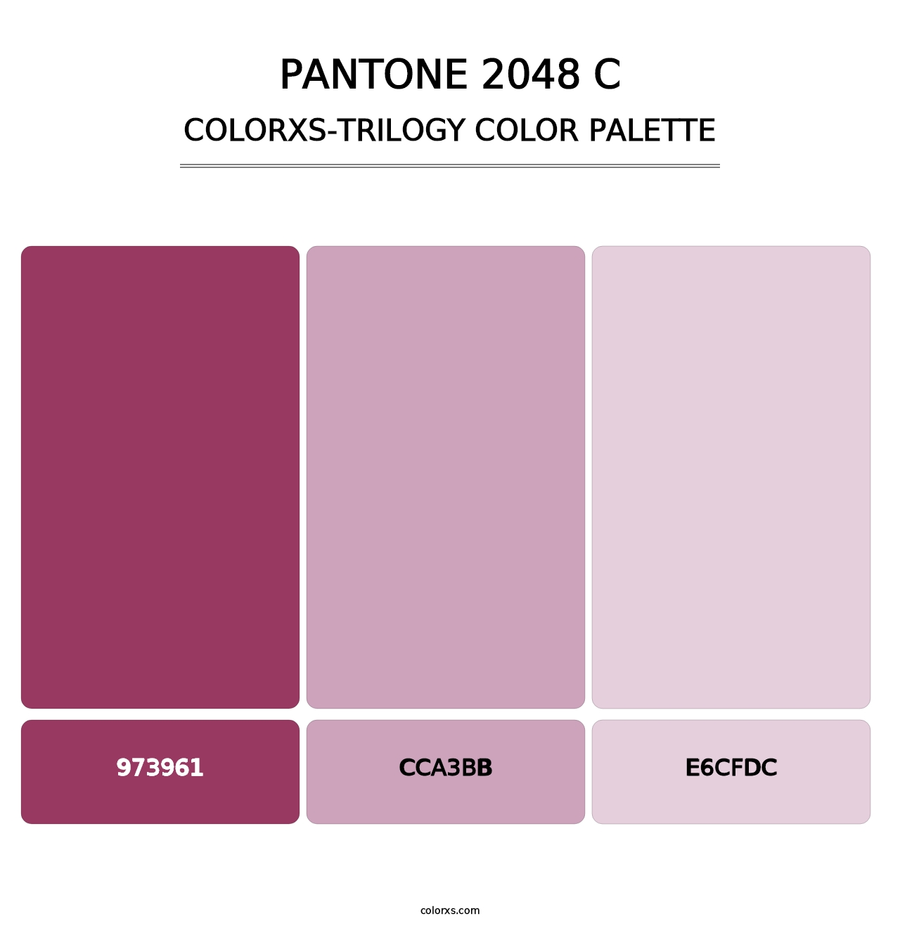PANTONE 2048 C - Colorxs Trilogy Palette