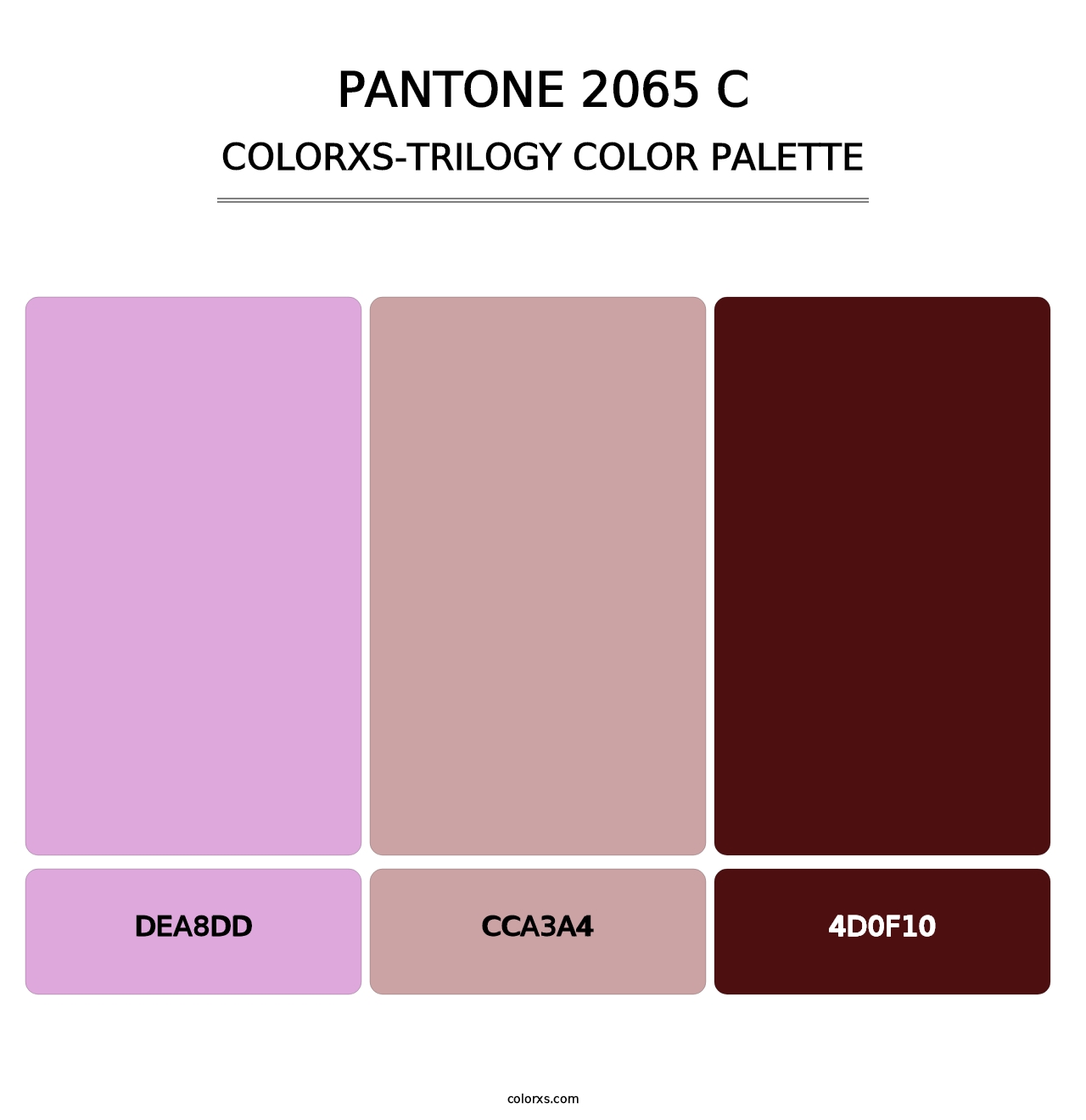 PANTONE 2065 C - Colorxs Trilogy Palette
