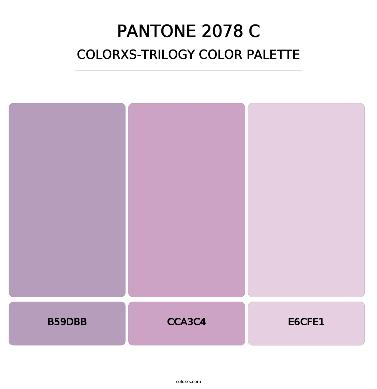 PANTONE 2078 C - Colorxs Trilogy Palette