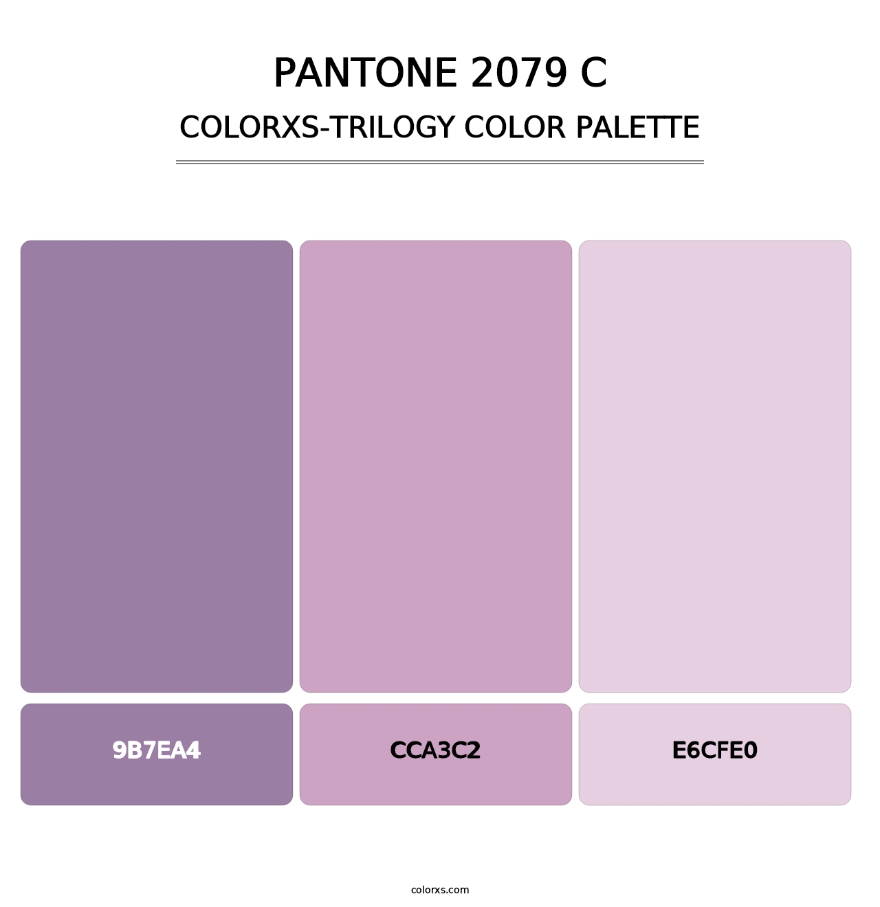 PANTONE 2079 C - Colorxs Trilogy Palette