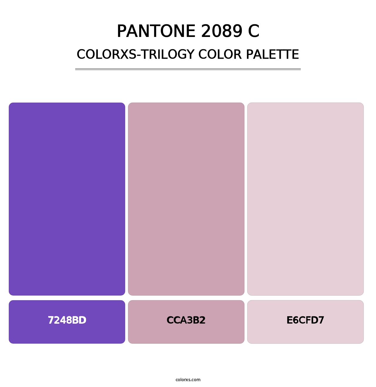 PANTONE 2089 C - Colorxs Trilogy Palette