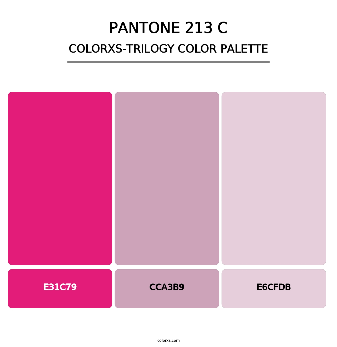 PANTONE 213 C - Colorxs Trilogy Palette