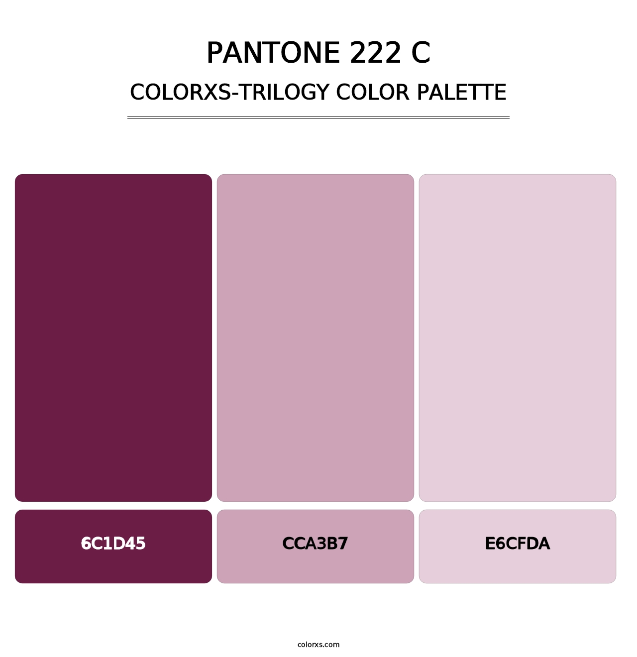 PANTONE 222 C - Colorxs Trilogy Palette