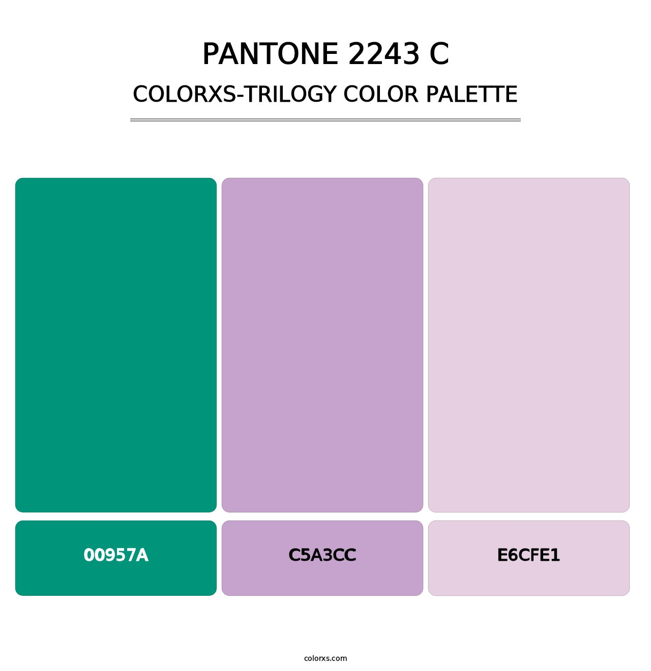 PANTONE 2243 C - Colorxs Trilogy Palette