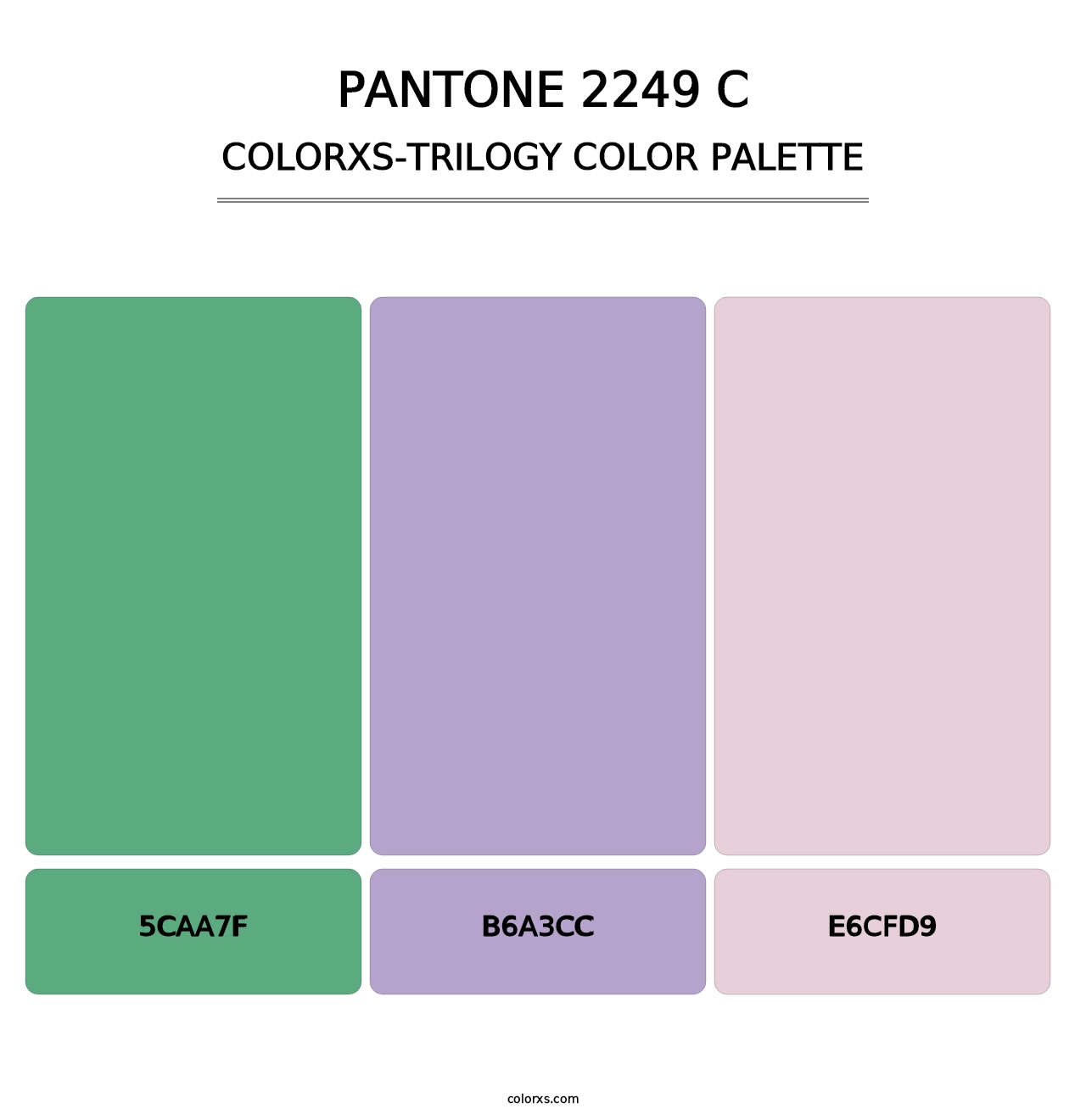 PANTONE 2249 C - Colorxs Trilogy Palette
