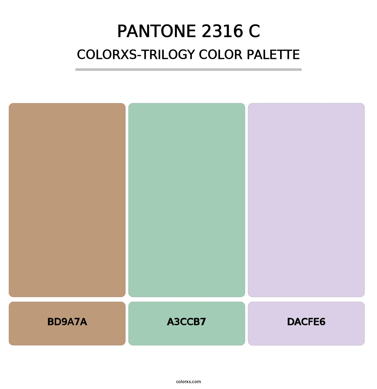 PANTONE 2316 C - Colorxs Trilogy Palette