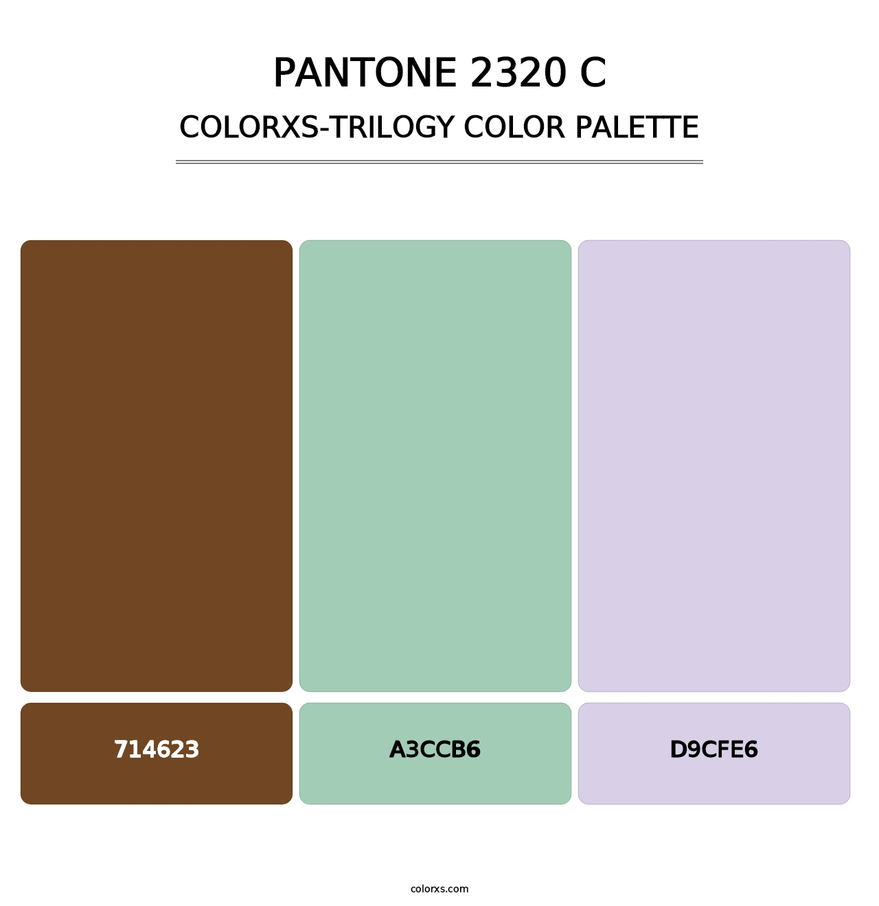 PANTONE 2320 C - Colorxs Trilogy Palette