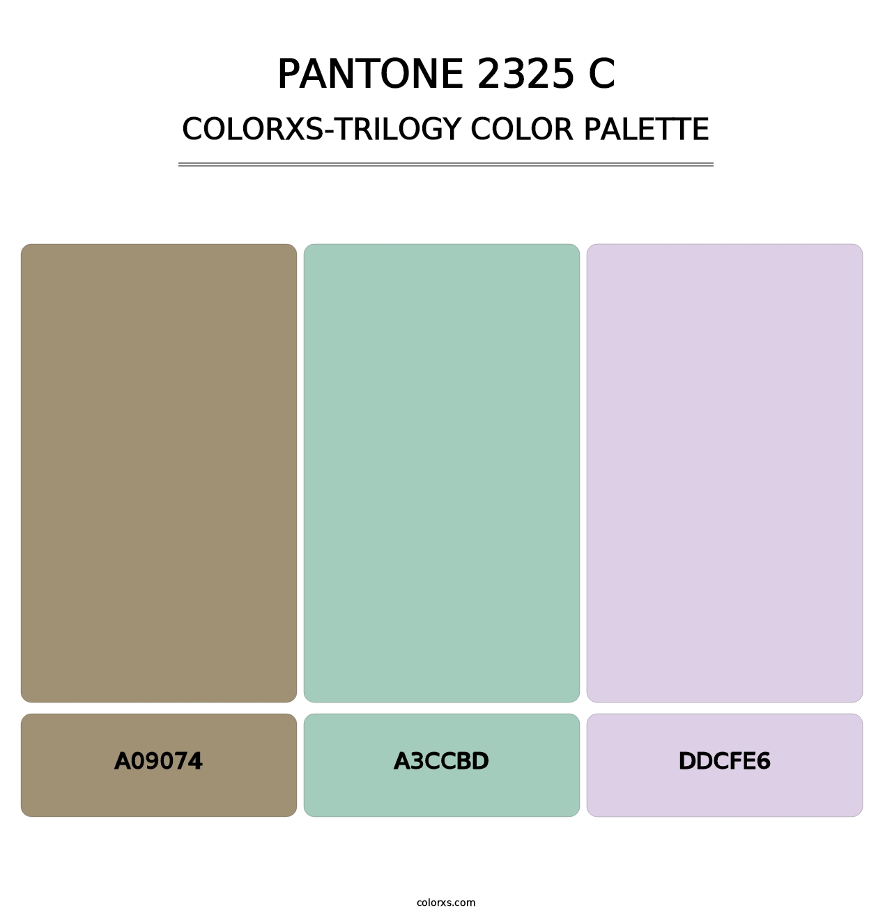 PANTONE 2325 C - Colorxs Trilogy Palette