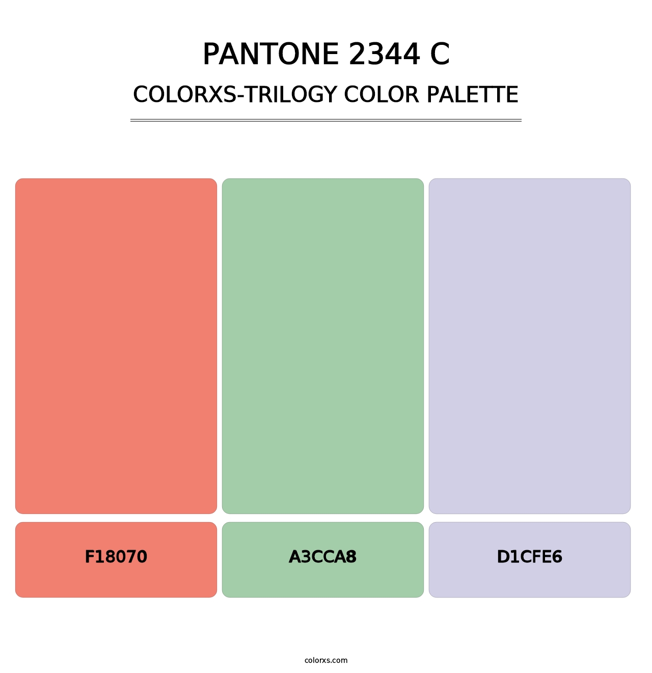 PANTONE 2344 C - Colorxs Trilogy Palette