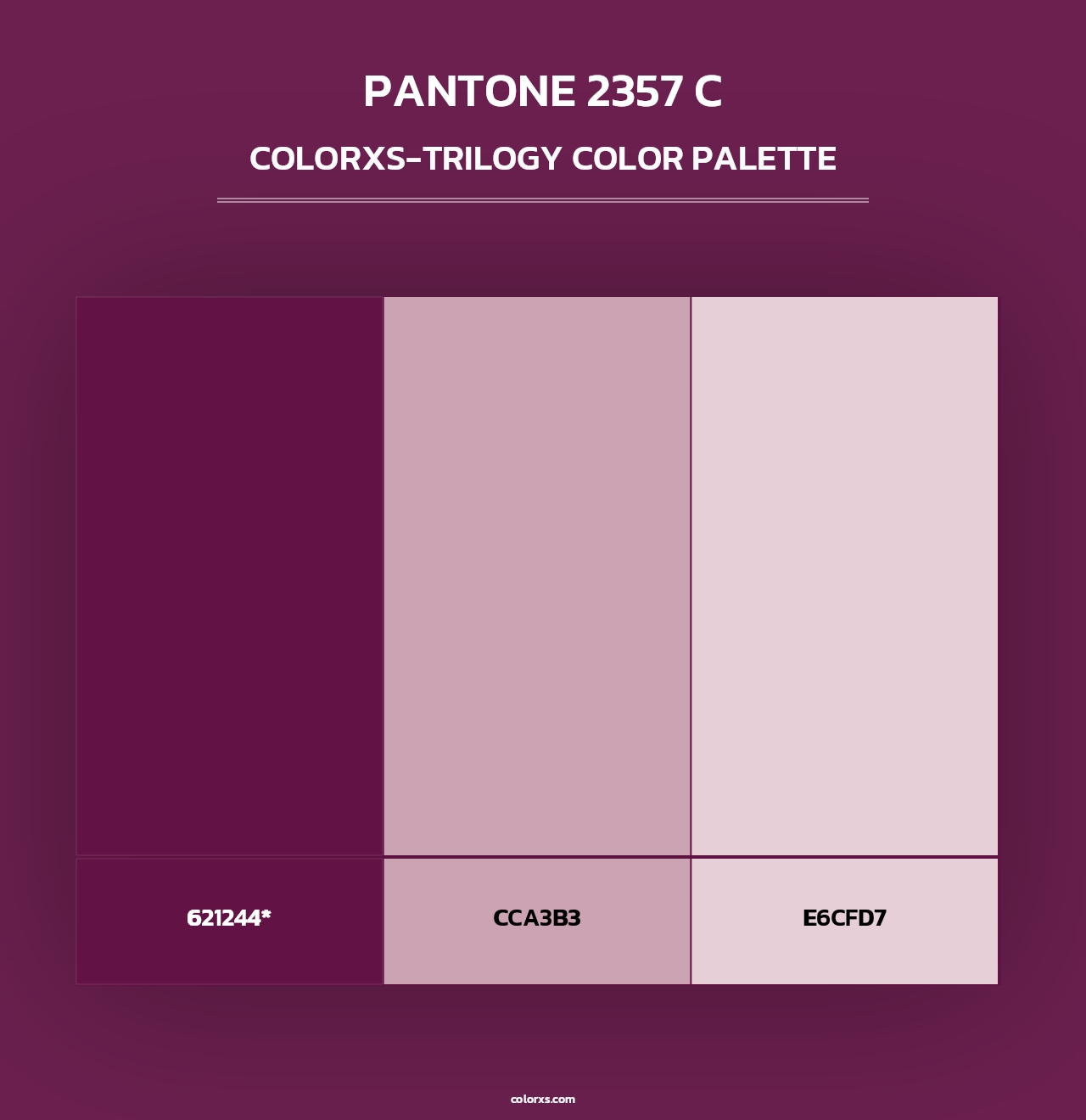 PANTONE 2357 C - Colorxs Trilogy Palette