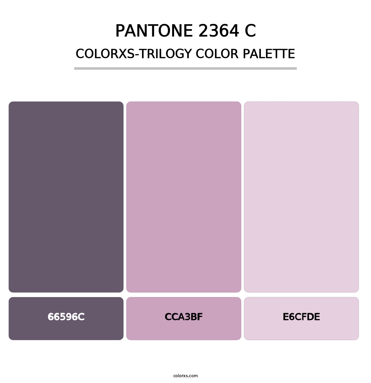 PANTONE 2364 C - Colorxs Trilogy Palette