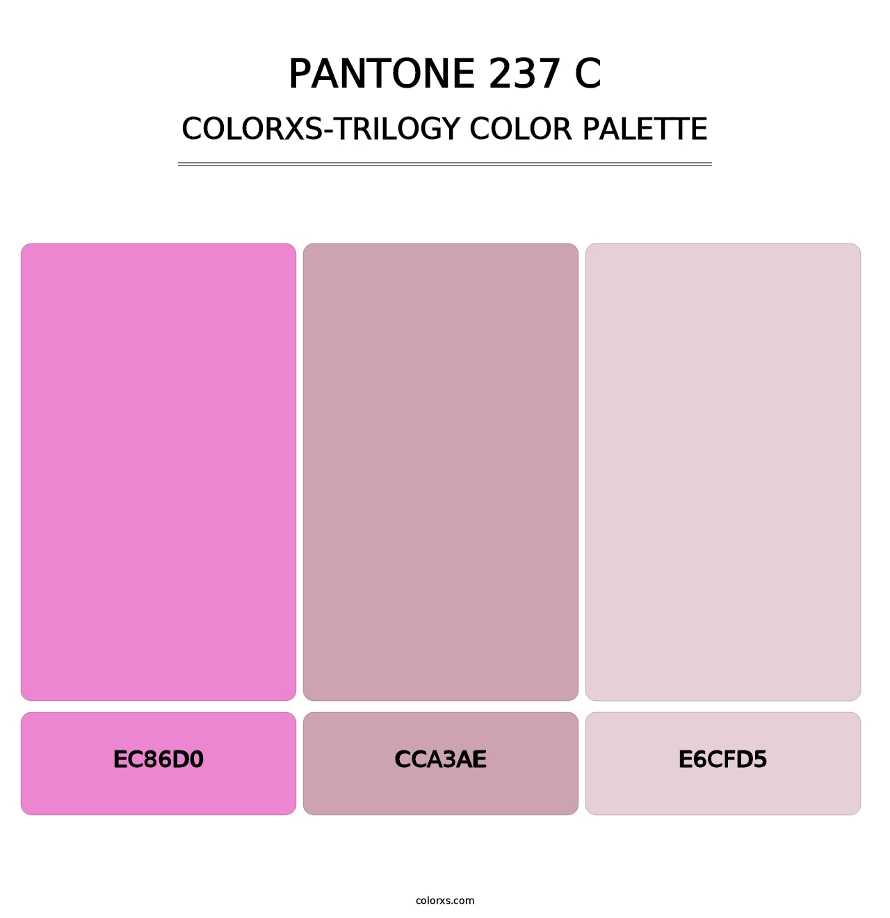 PANTONE 237 C - Colorxs Trilogy Palette
