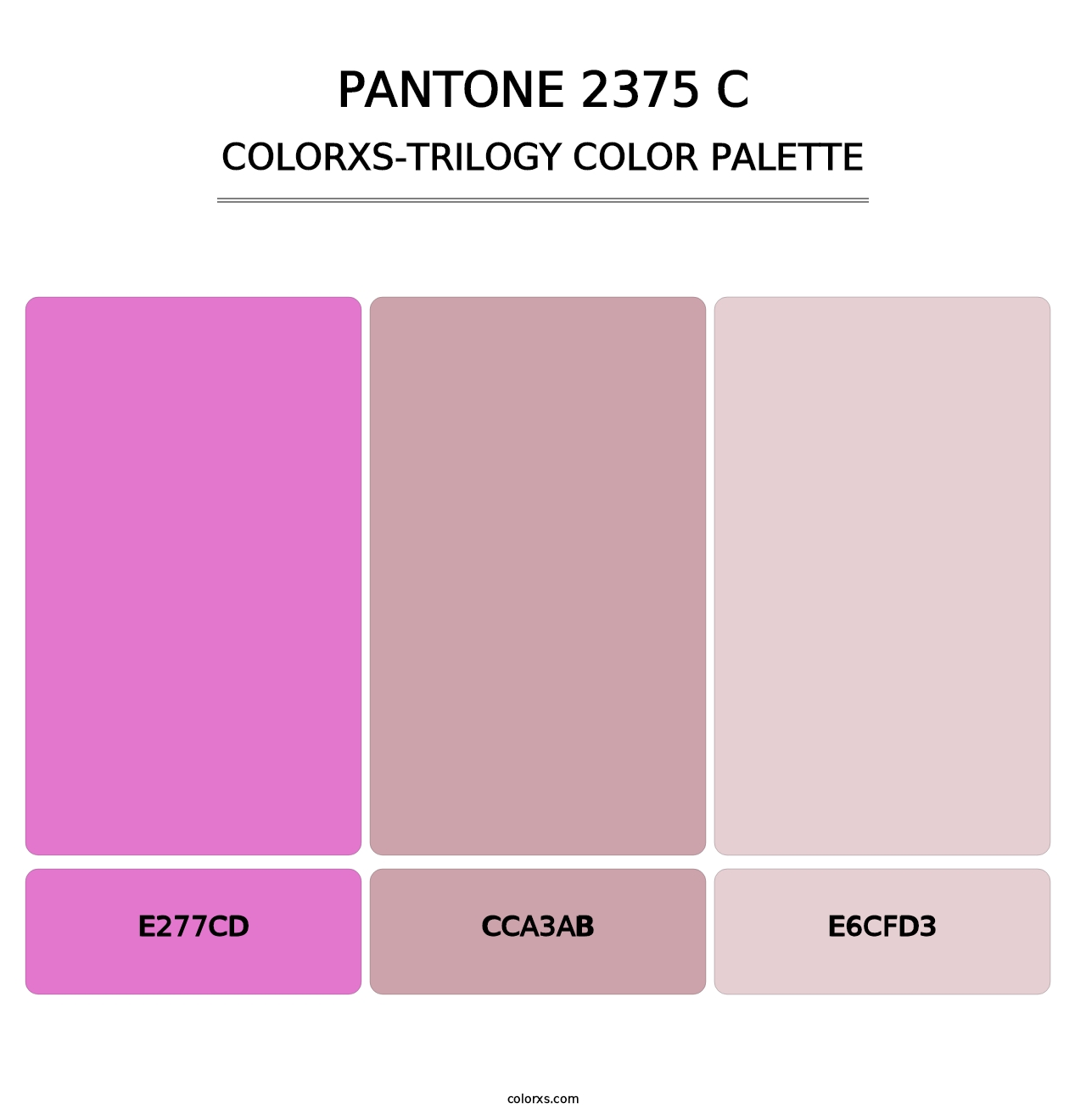 PANTONE 2375 C - Colorxs Trilogy Palette
