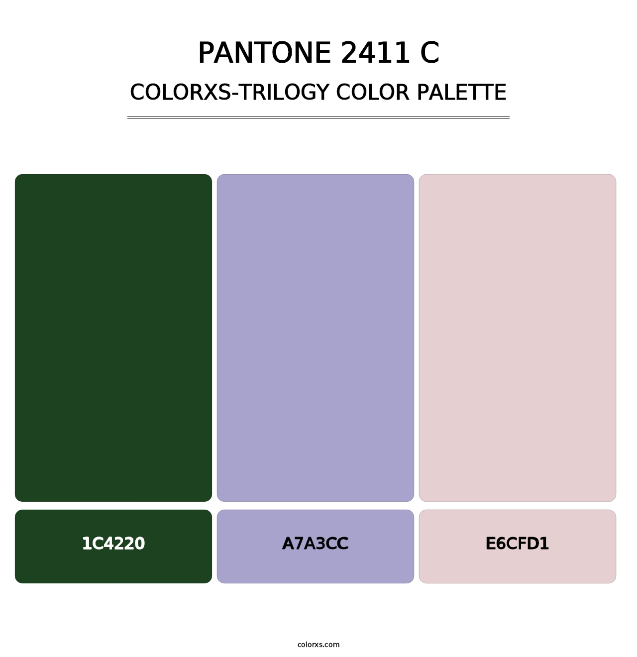 PANTONE 2411 C - Colorxs Trilogy Palette
