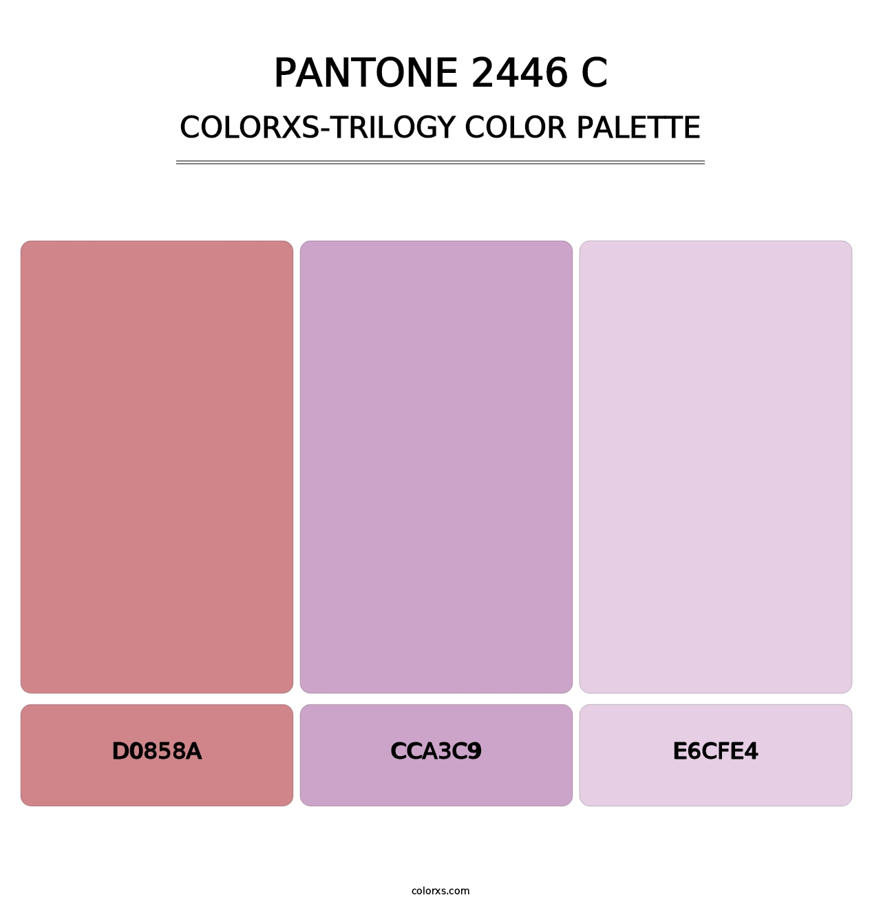 PANTONE 2446 C - Colorxs Trilogy Palette
