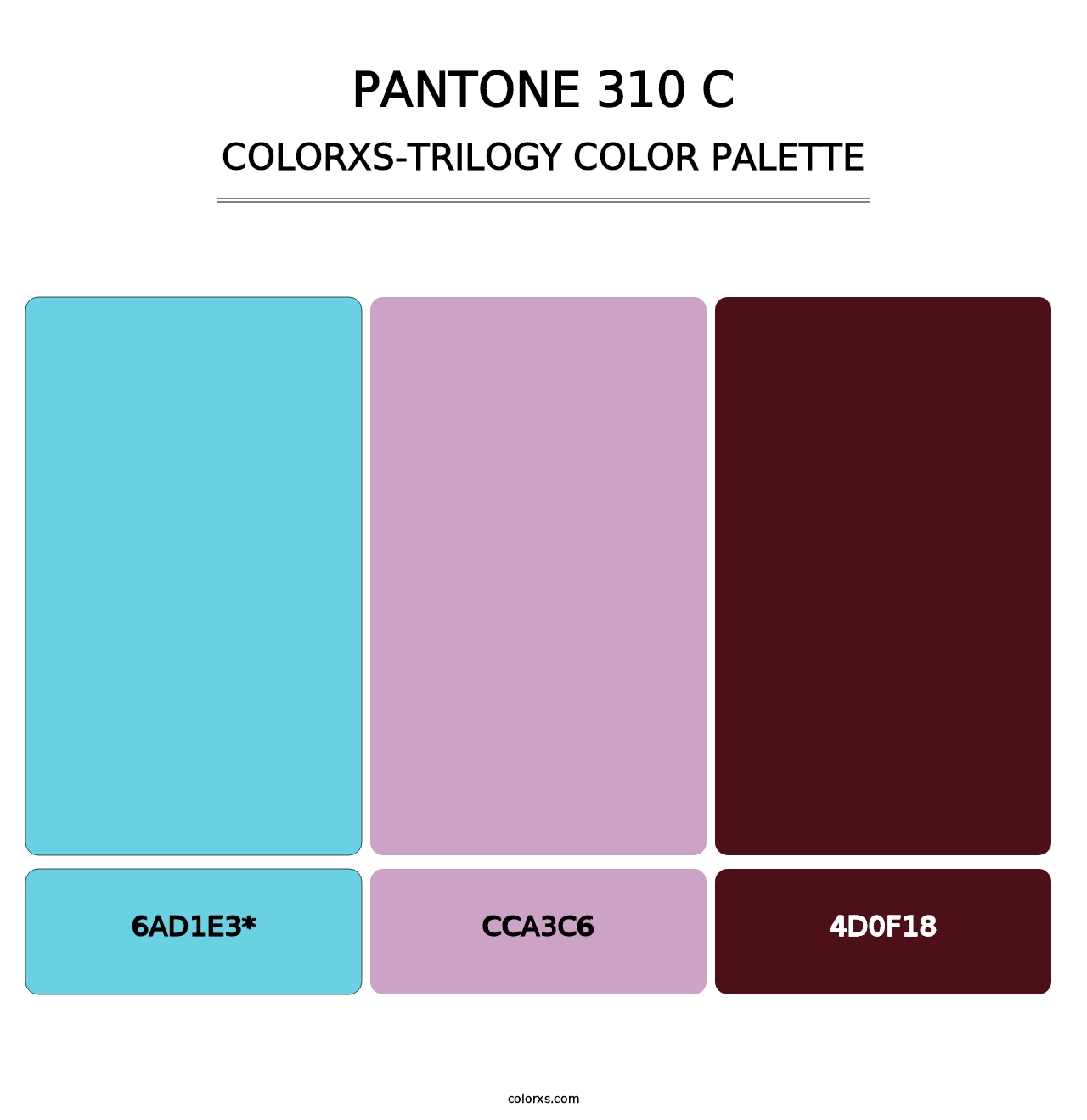 PANTONE 310 C - Colorxs Trilogy Palette
