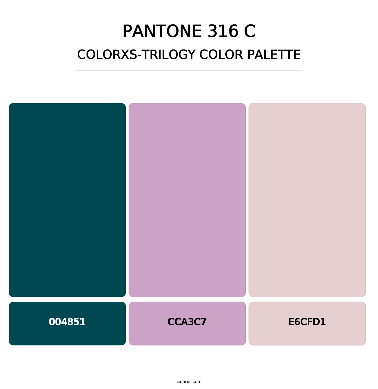 PANTONE 316 C - Colorxs Trilogy Palette