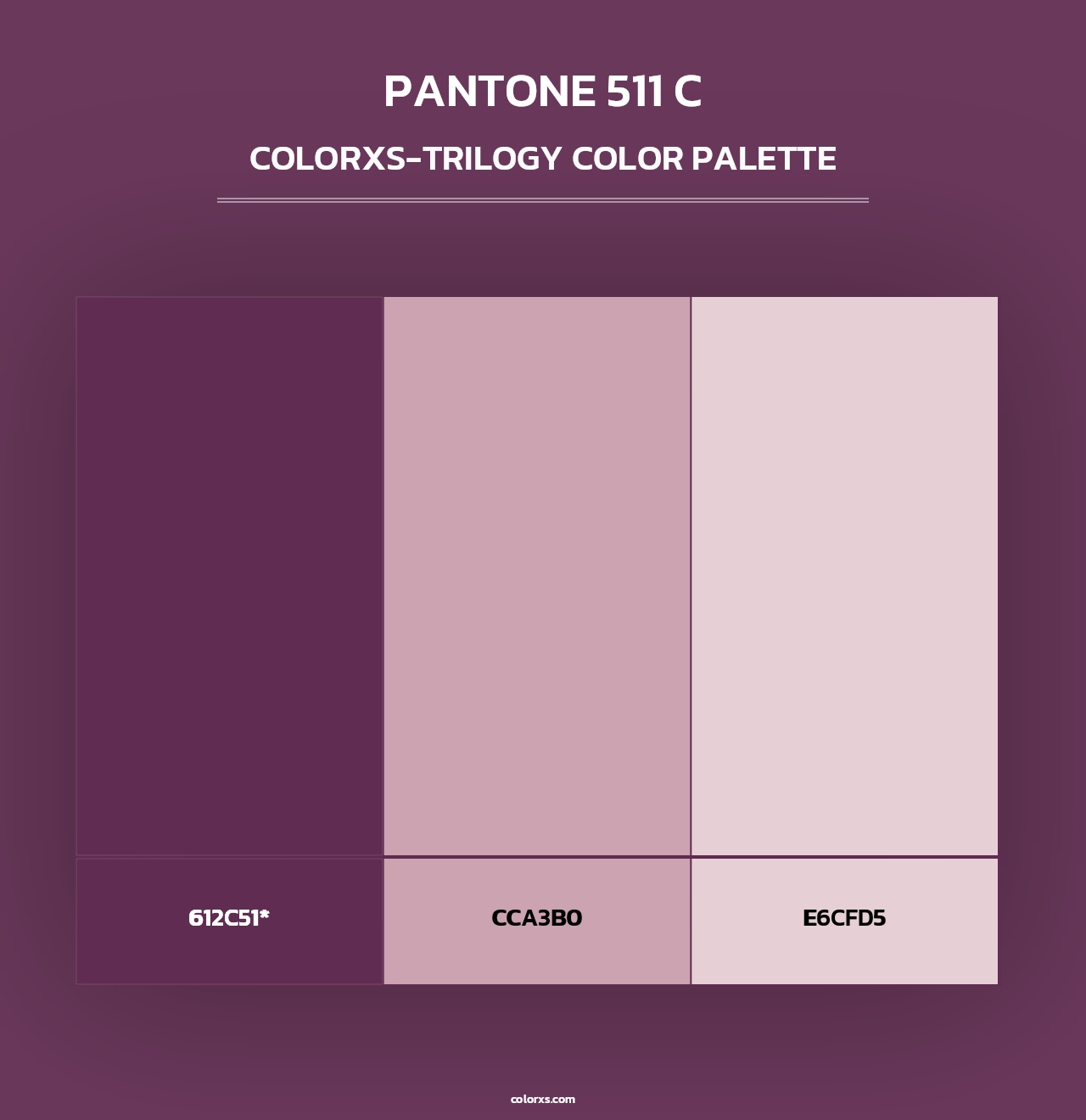 PANTONE 511 C - Colorxs Trilogy Palette