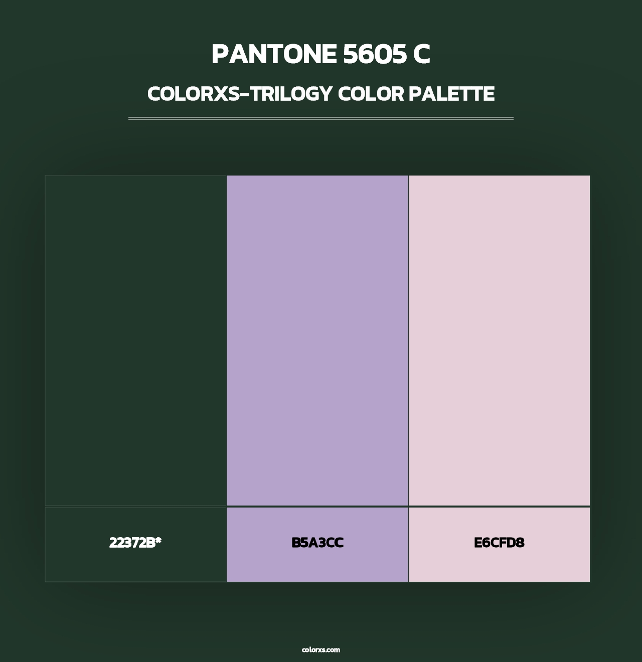 PANTONE 5605 C - Colorxs Trilogy Palette