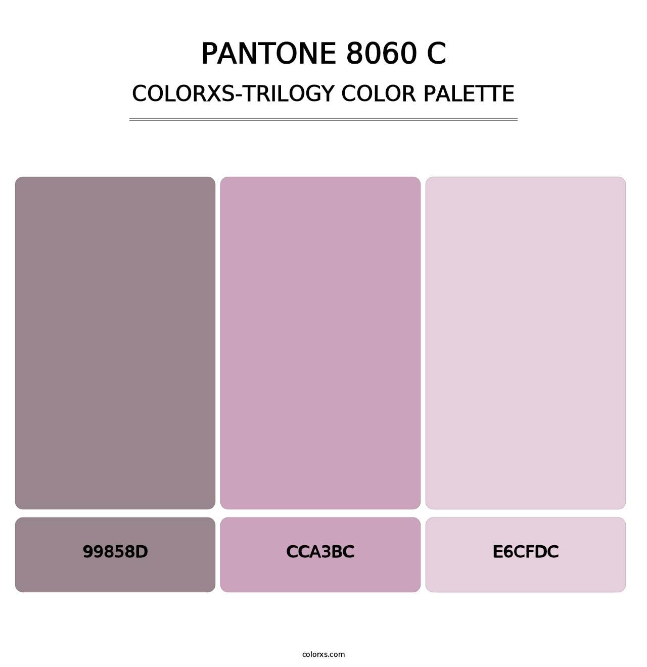 PANTONE 8060 C - Colorxs Trilogy Palette