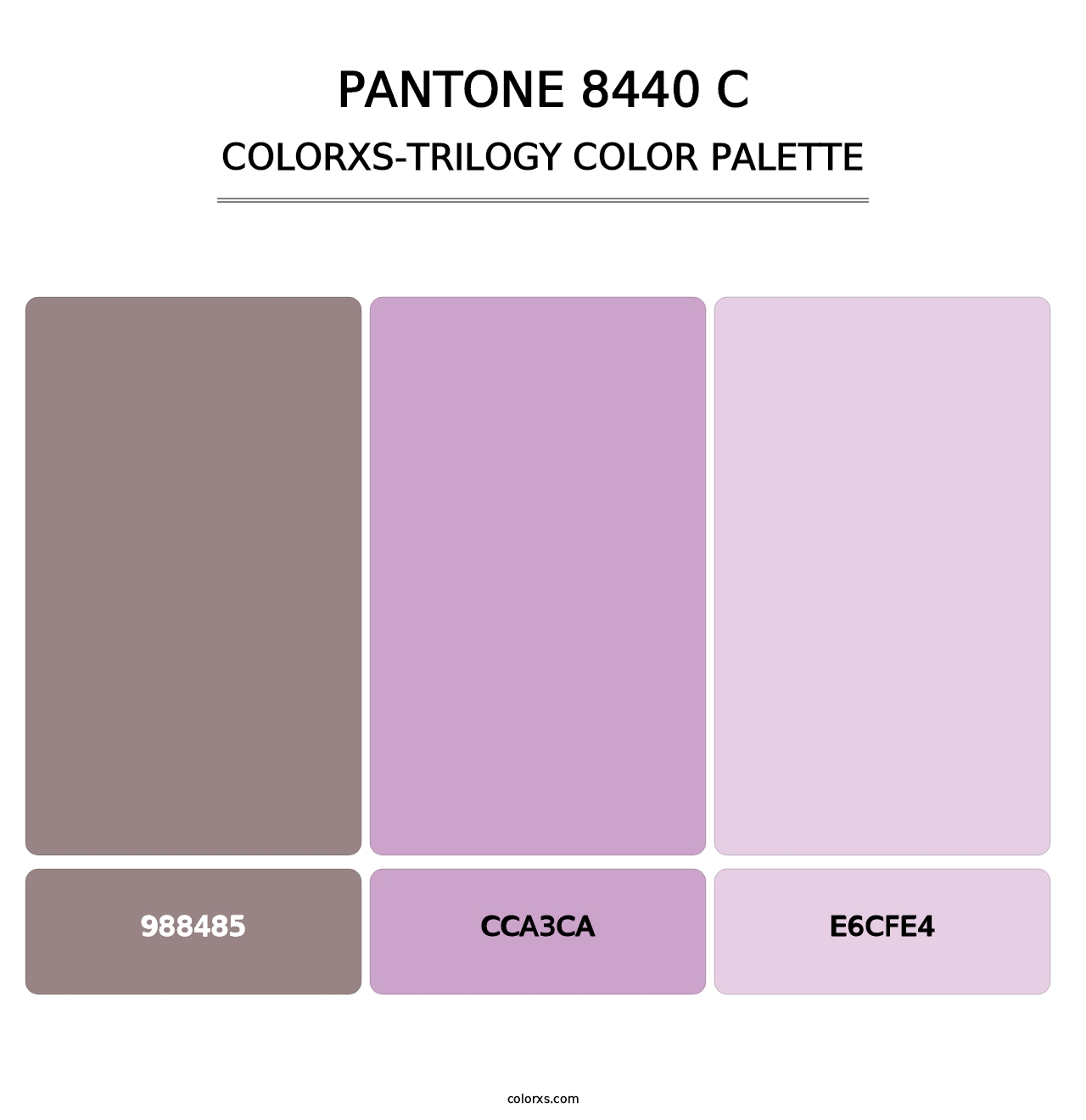 PANTONE 8440 C - Colorxs Trilogy Palette