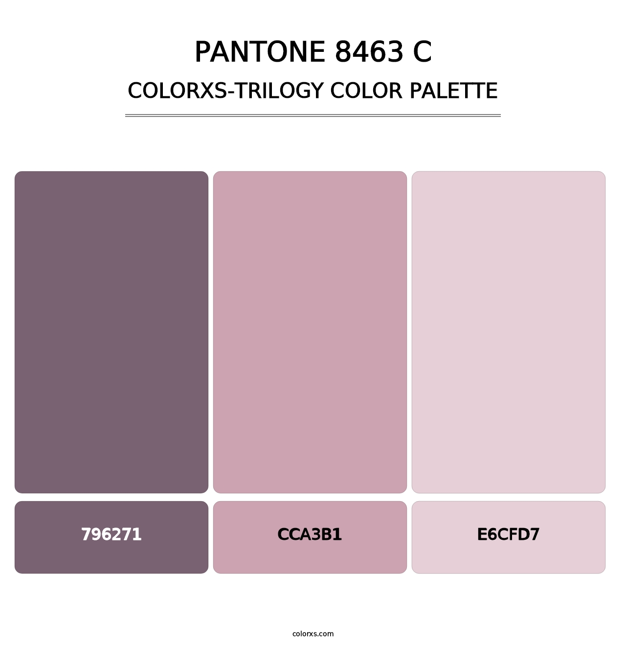 PANTONE 8463 C - Colorxs Trilogy Palette