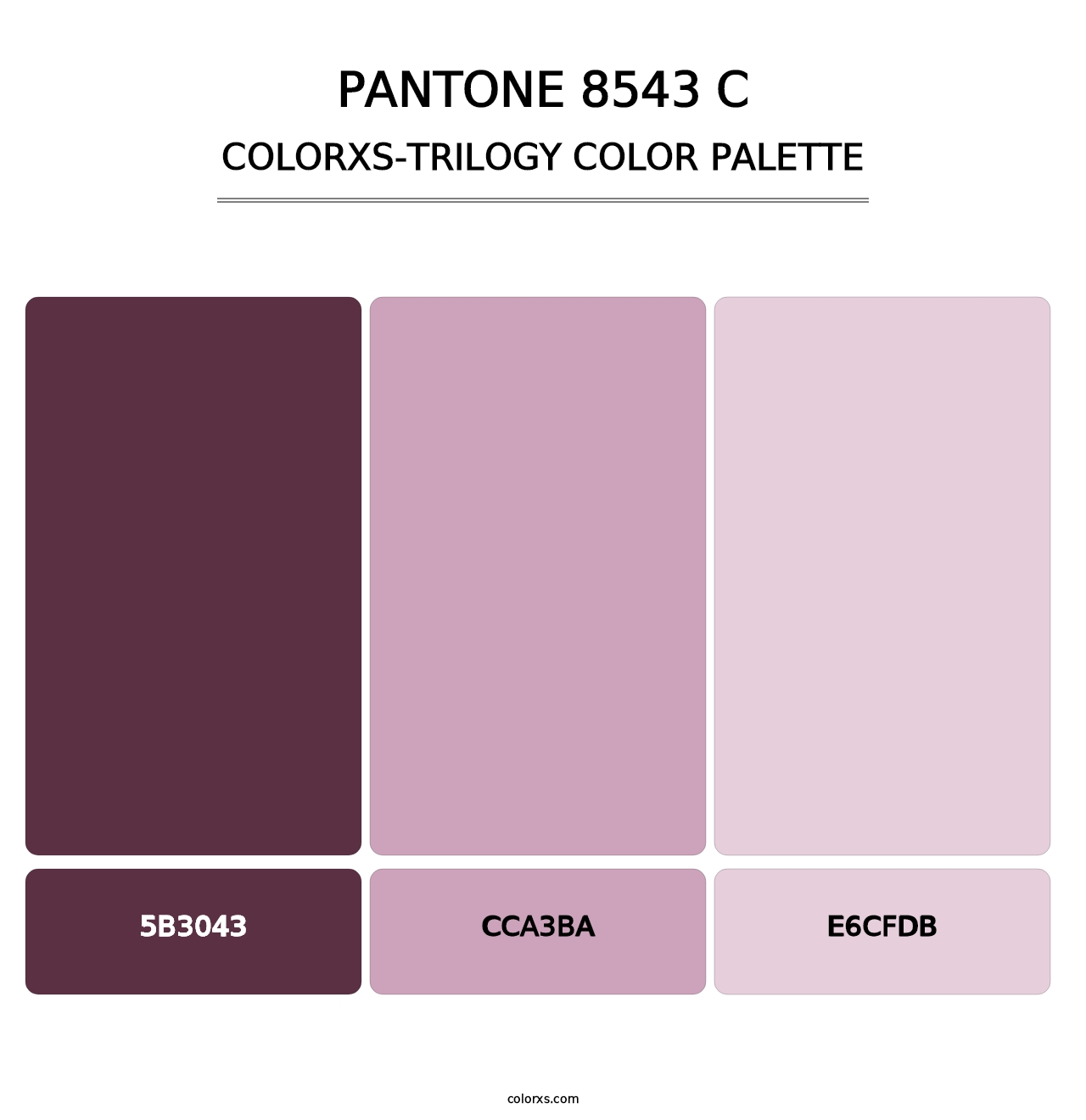 PANTONE 8543 C - Colorxs Trilogy Palette