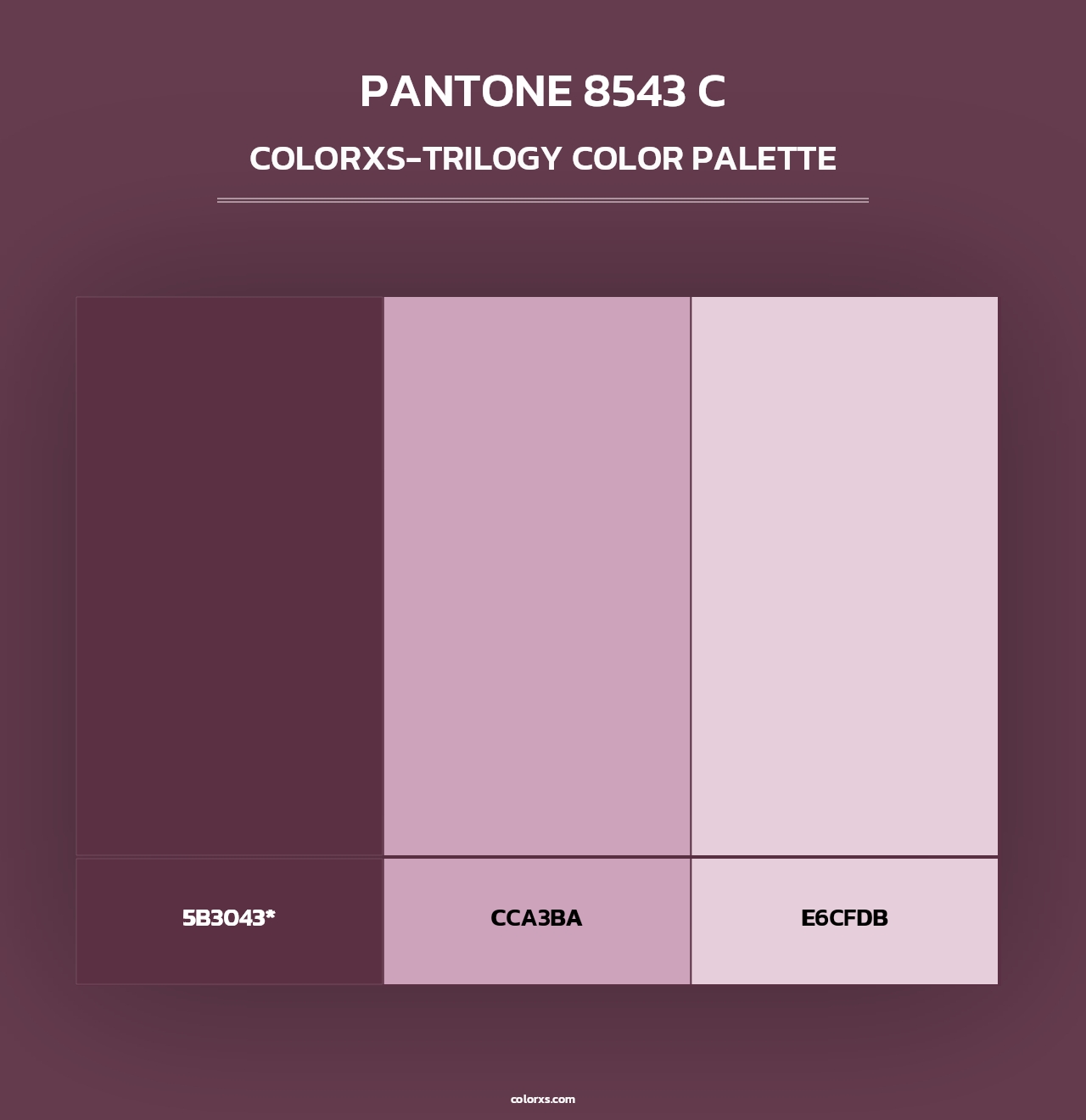 PANTONE 8543 C - Colorxs Trilogy Palette