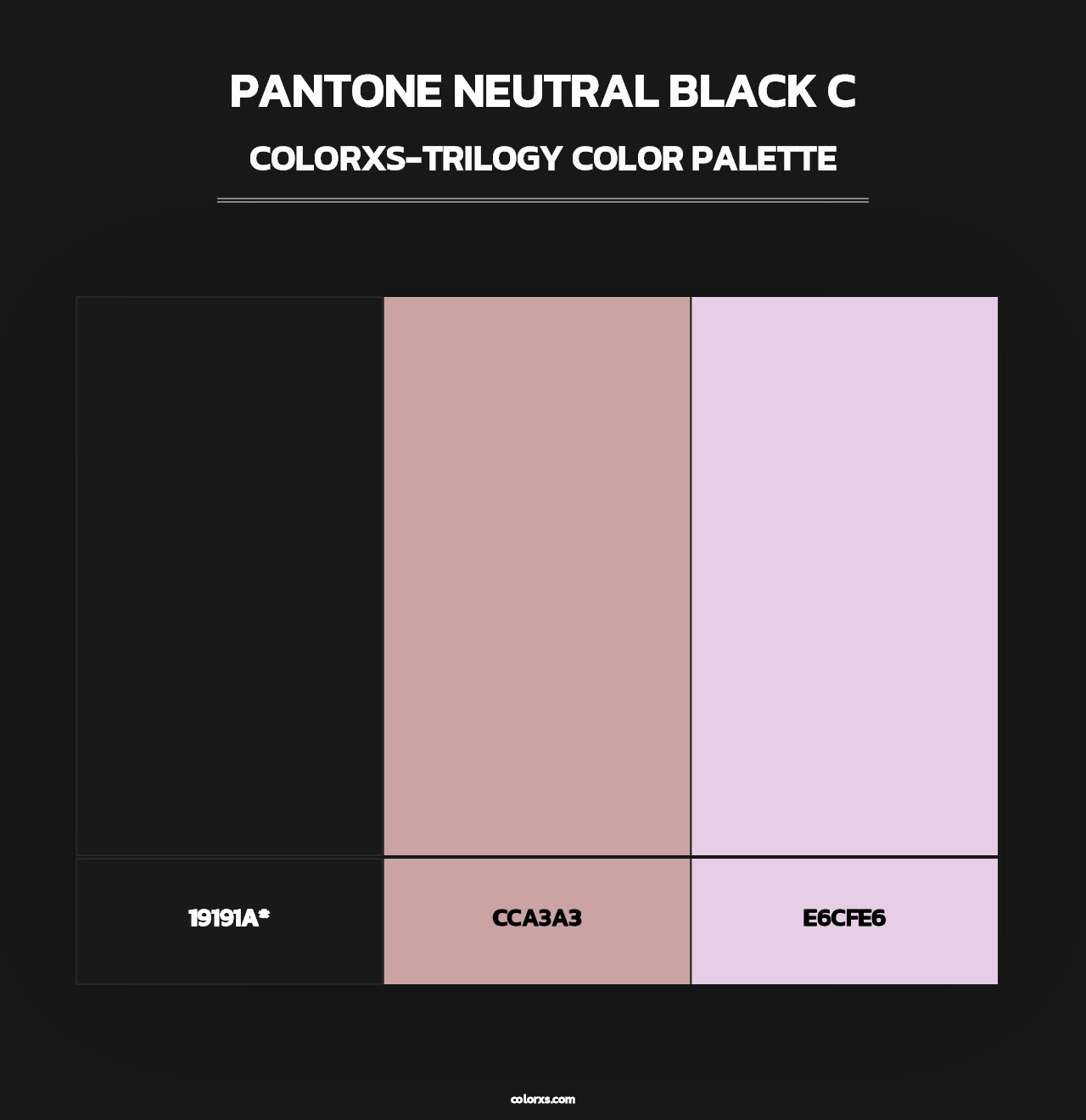PANTONE Neutral Black C - Colorxs Trilogy Palette