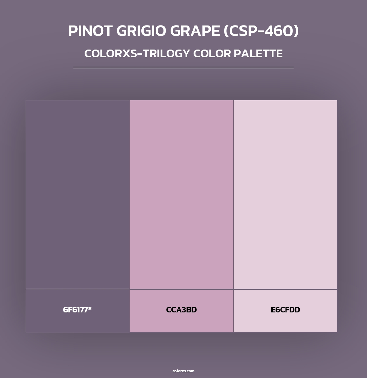 Pinot Grigio Grape (CSP-460) - Colorxs Trilogy Palette