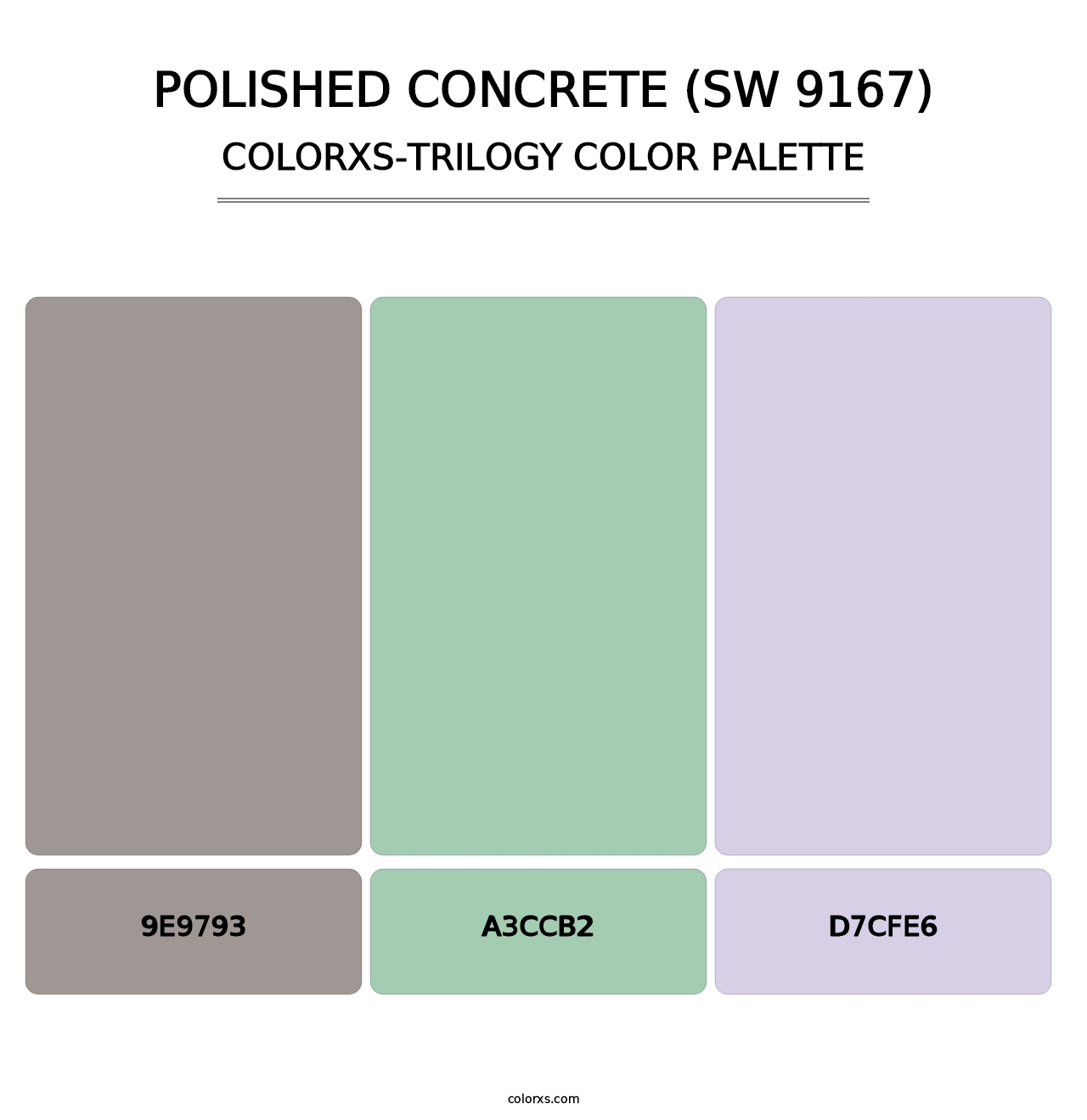 Polished Concrete (SW 9167) - Colorxs Trilogy Palette