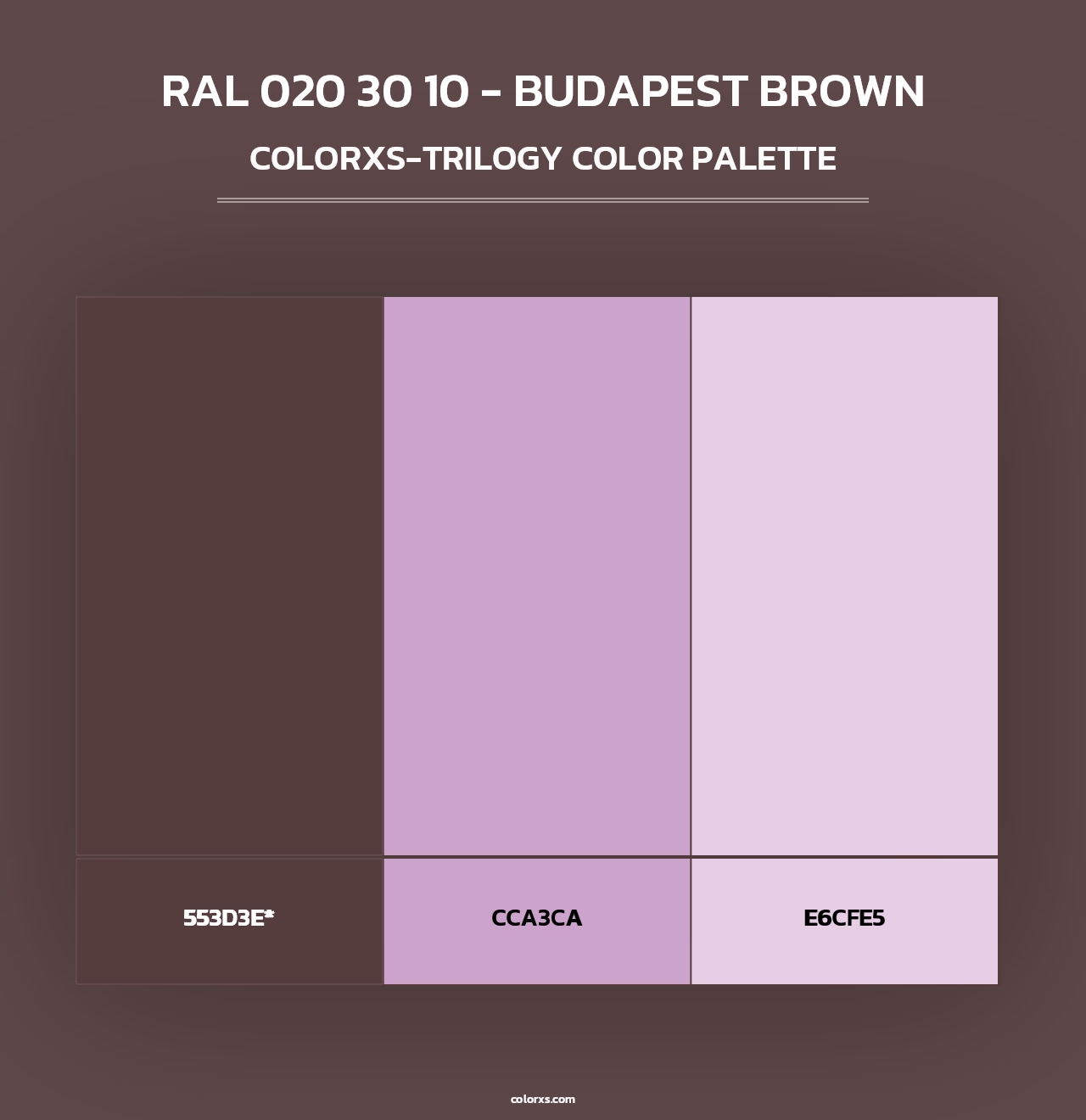 RAL 020 30 10 - Budapest Brown - Colorxs Trilogy Palette