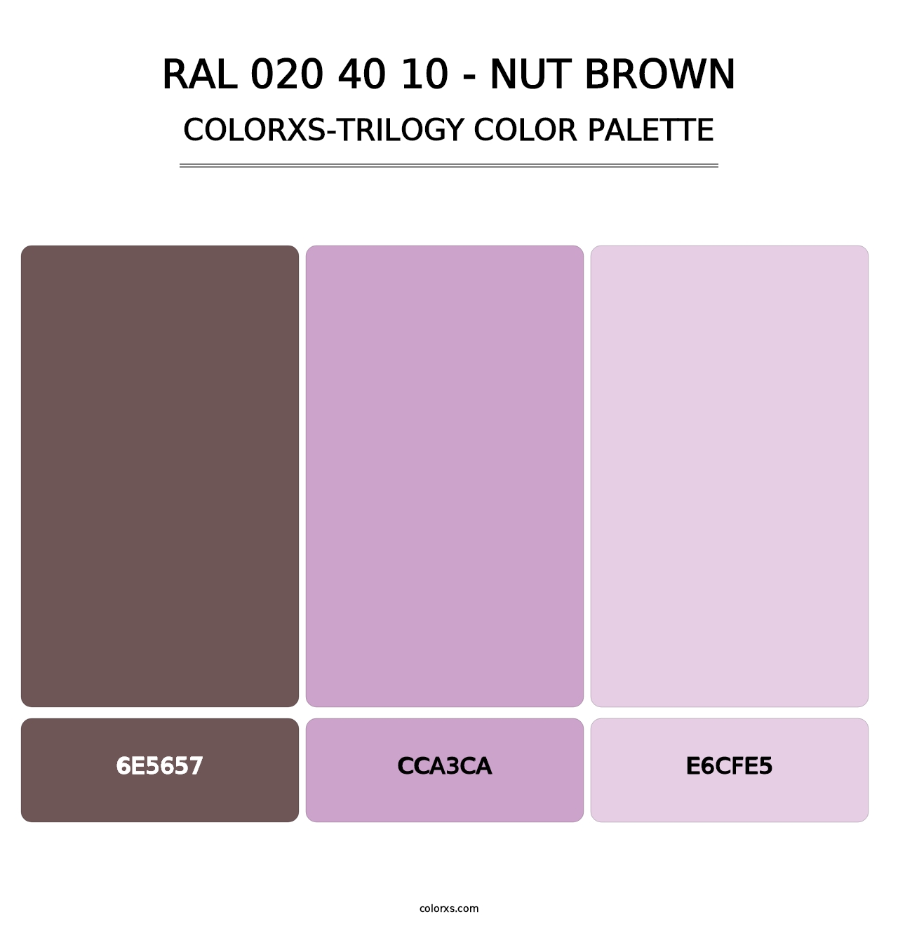 RAL 020 40 10 - Nut Brown - Colorxs Trilogy Palette
