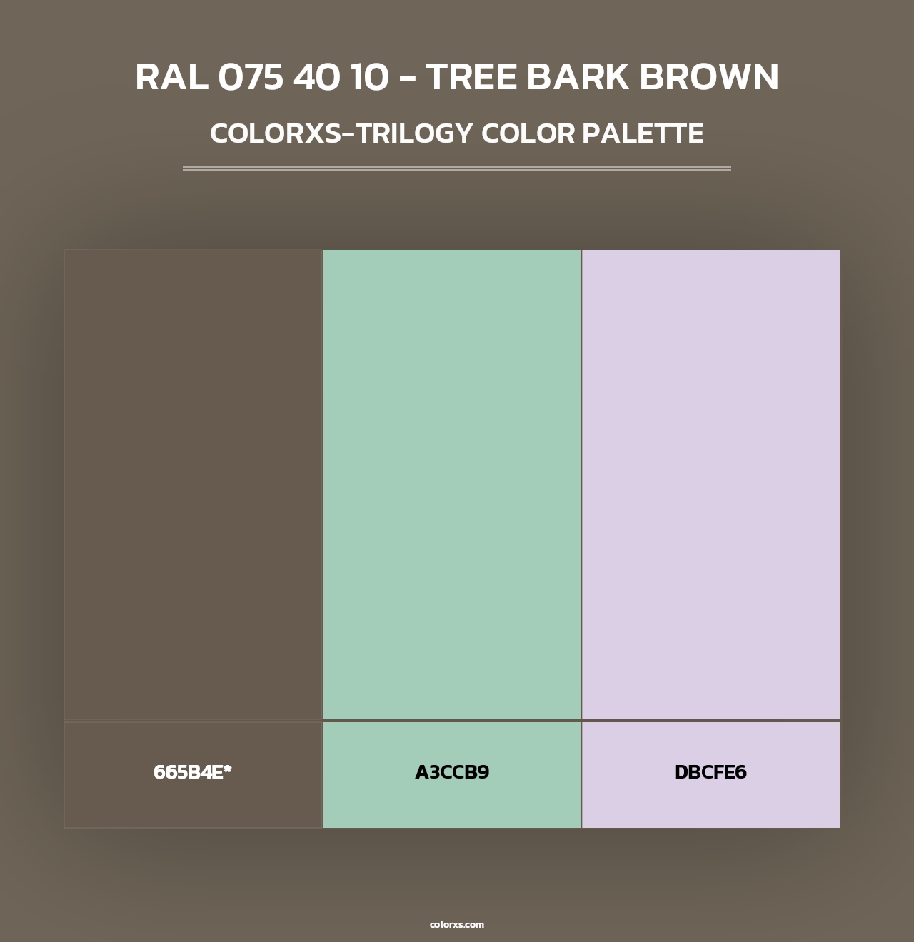 RAL 075 40 10 - Tree Bark Brown - Colorxs Trilogy Palette