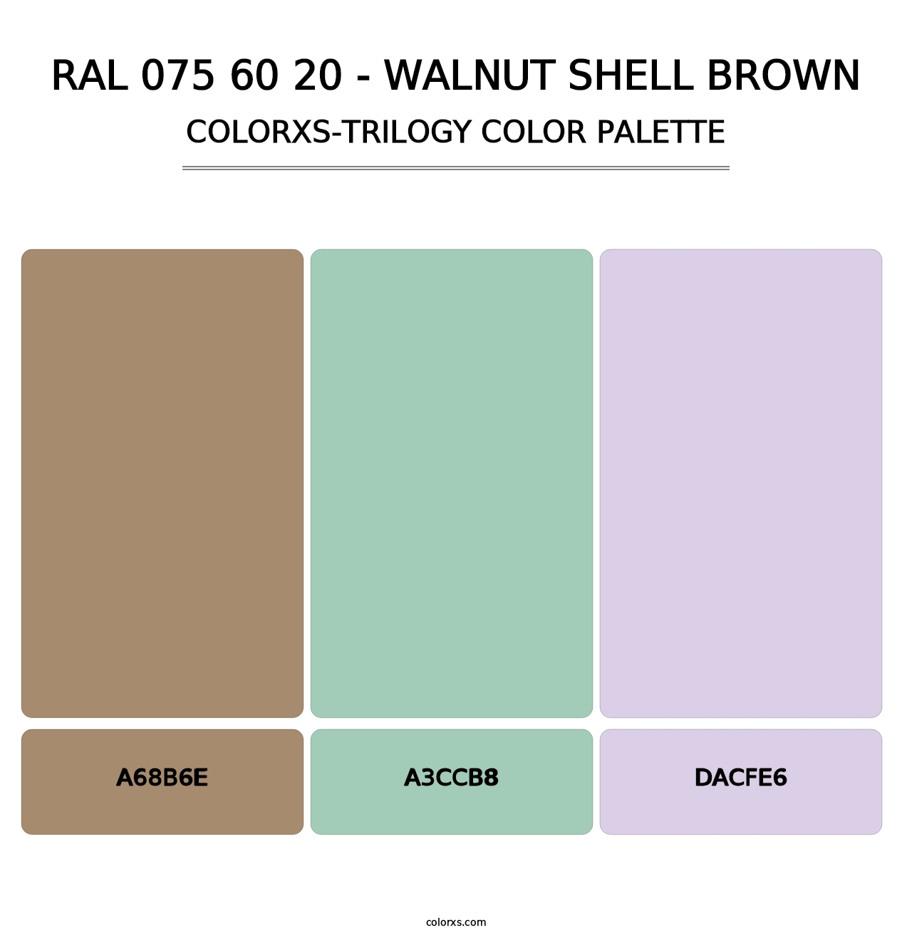 RAL 075 60 20 - Walnut Shell Brown - Colorxs Trilogy Palette