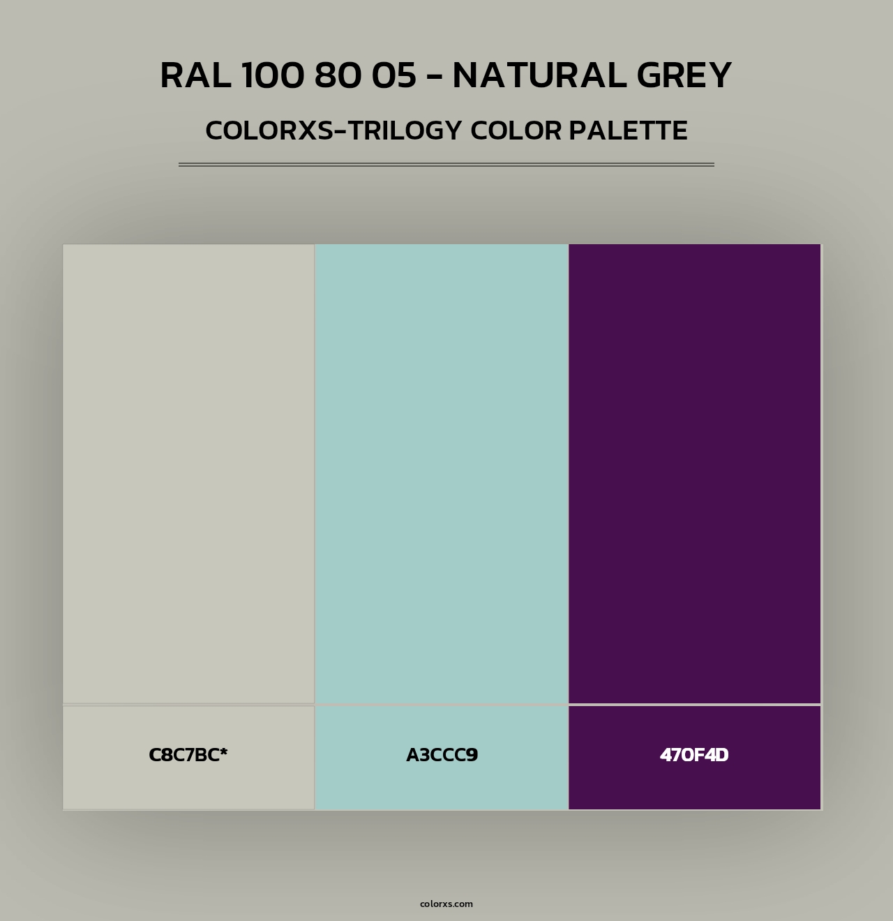 RAL 100 80 05 - Natural Grey - Colorxs Trilogy Palette
